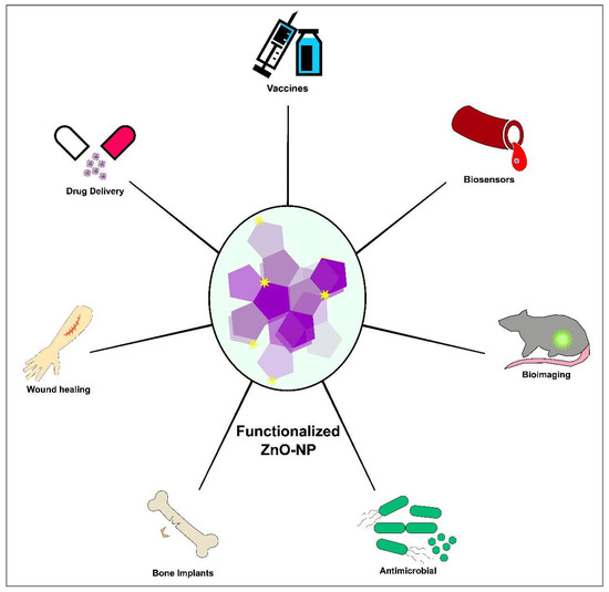 Functionalized ZnO-Based Nanocomposites for Diverse