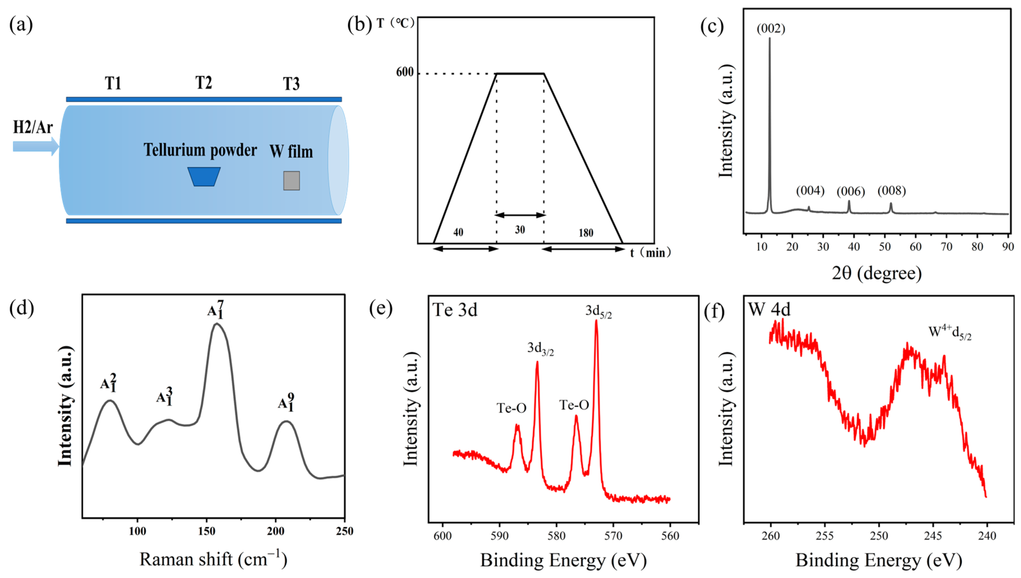 Nanomaterials 14 00401 g001