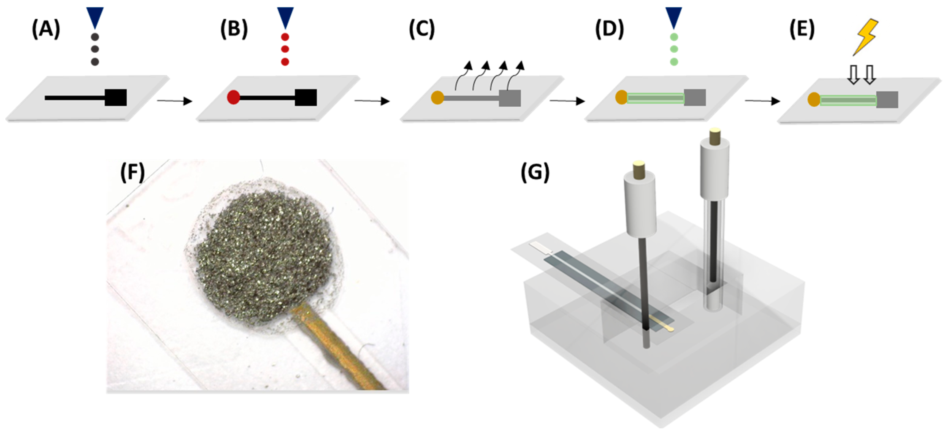 Nanomaterials 14 00403 g001