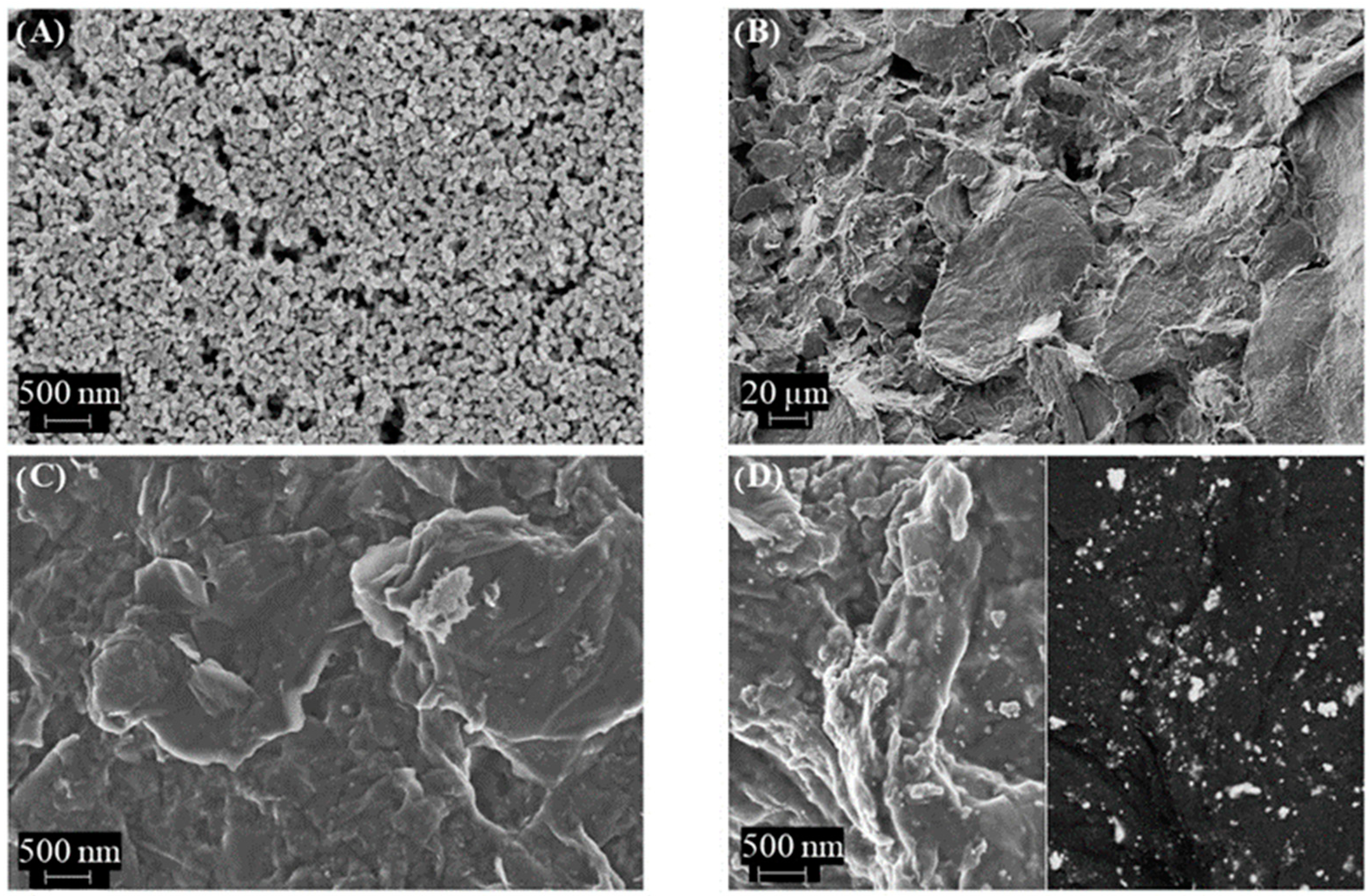 Nanomaterials 14 00403 g002
