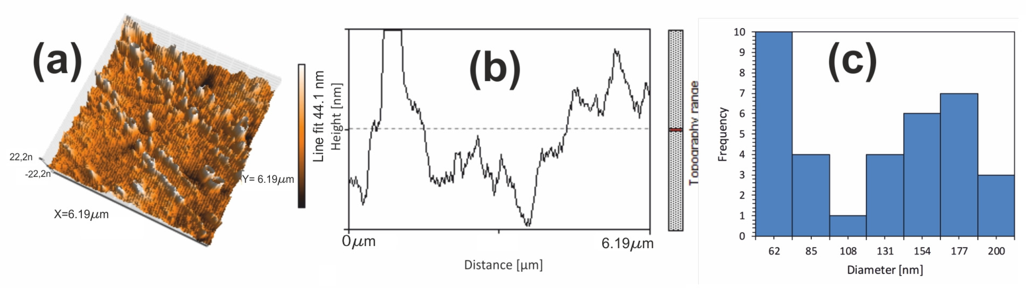 Nanomaterials 14 00405 g011