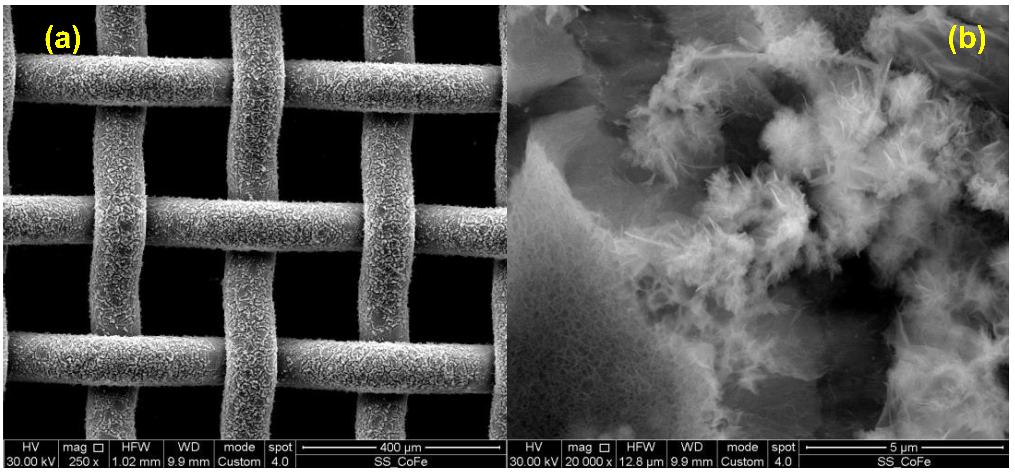 Nanomaterials 14 00407 g001