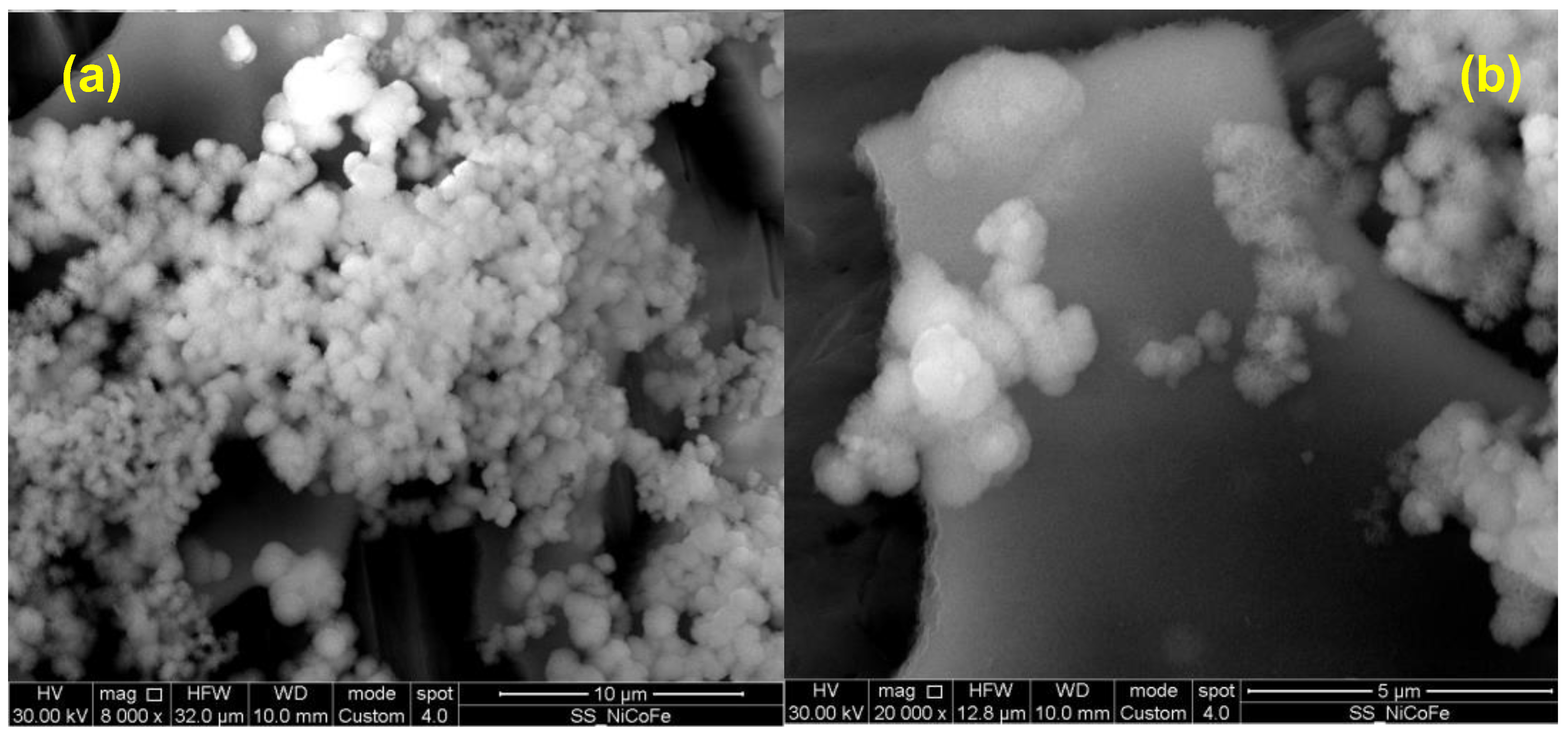 Nanomaterials 14 00407 g003