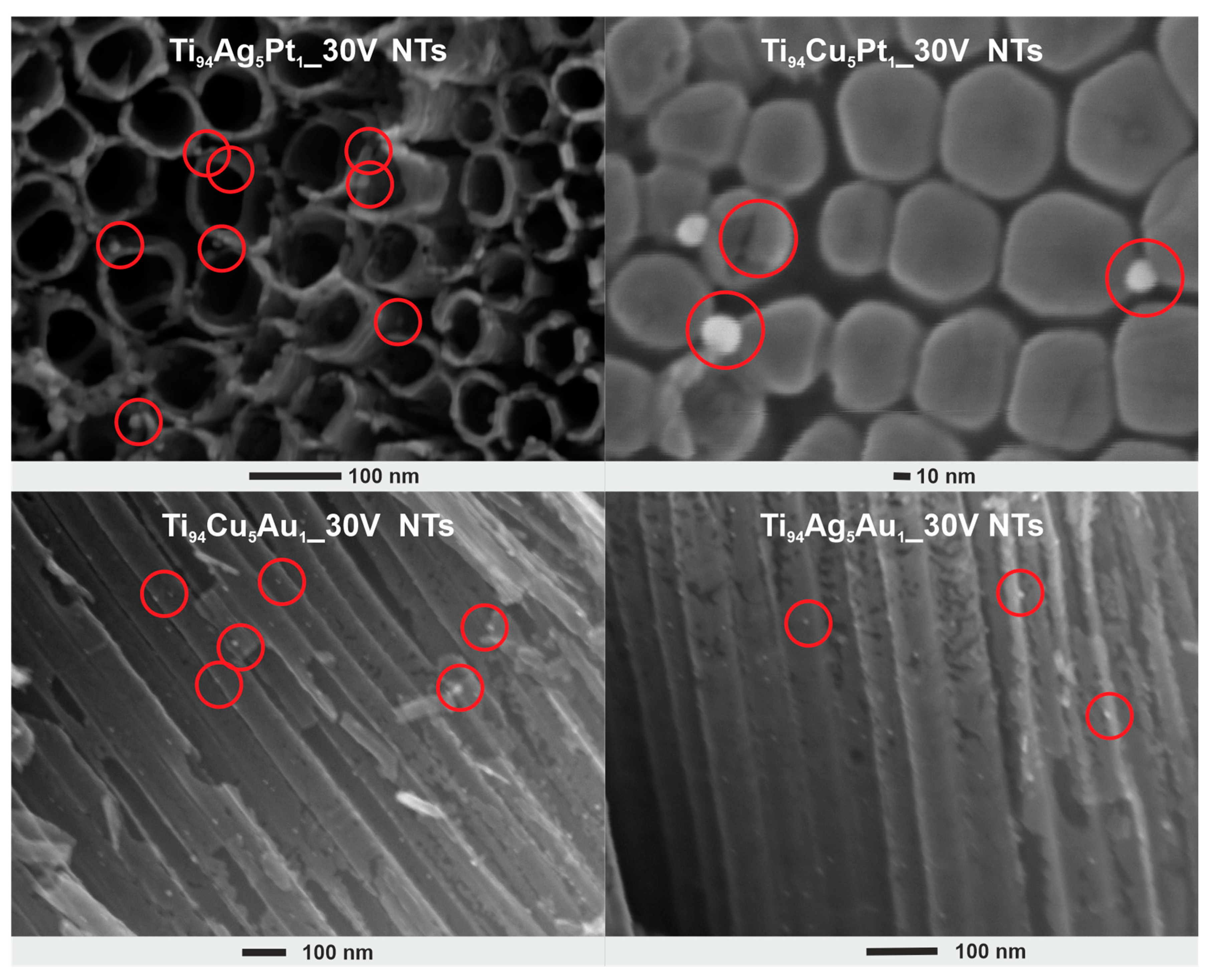 Nanomaterials 14 00409 g002