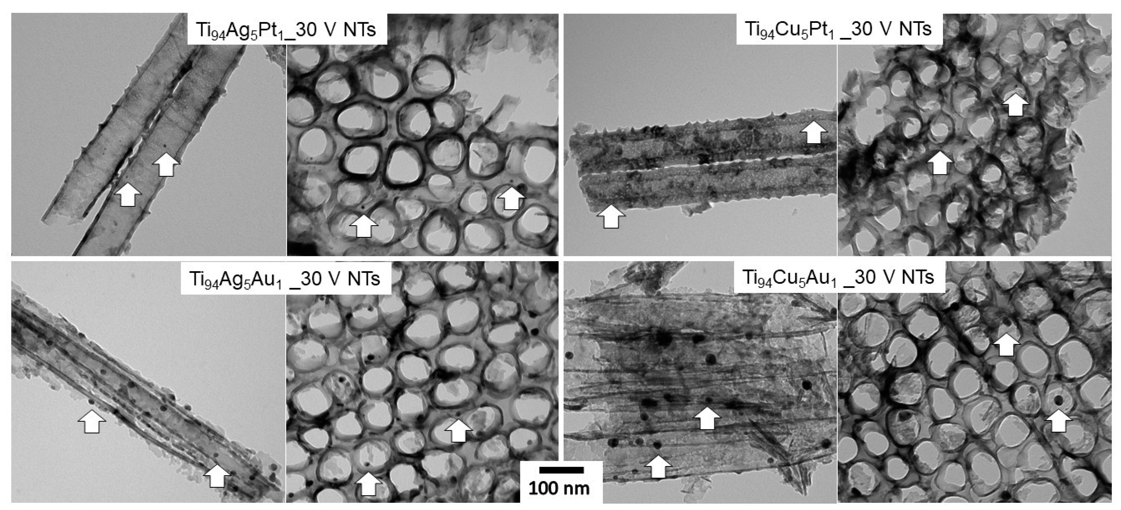 Nanomaterials 14 00409 g003