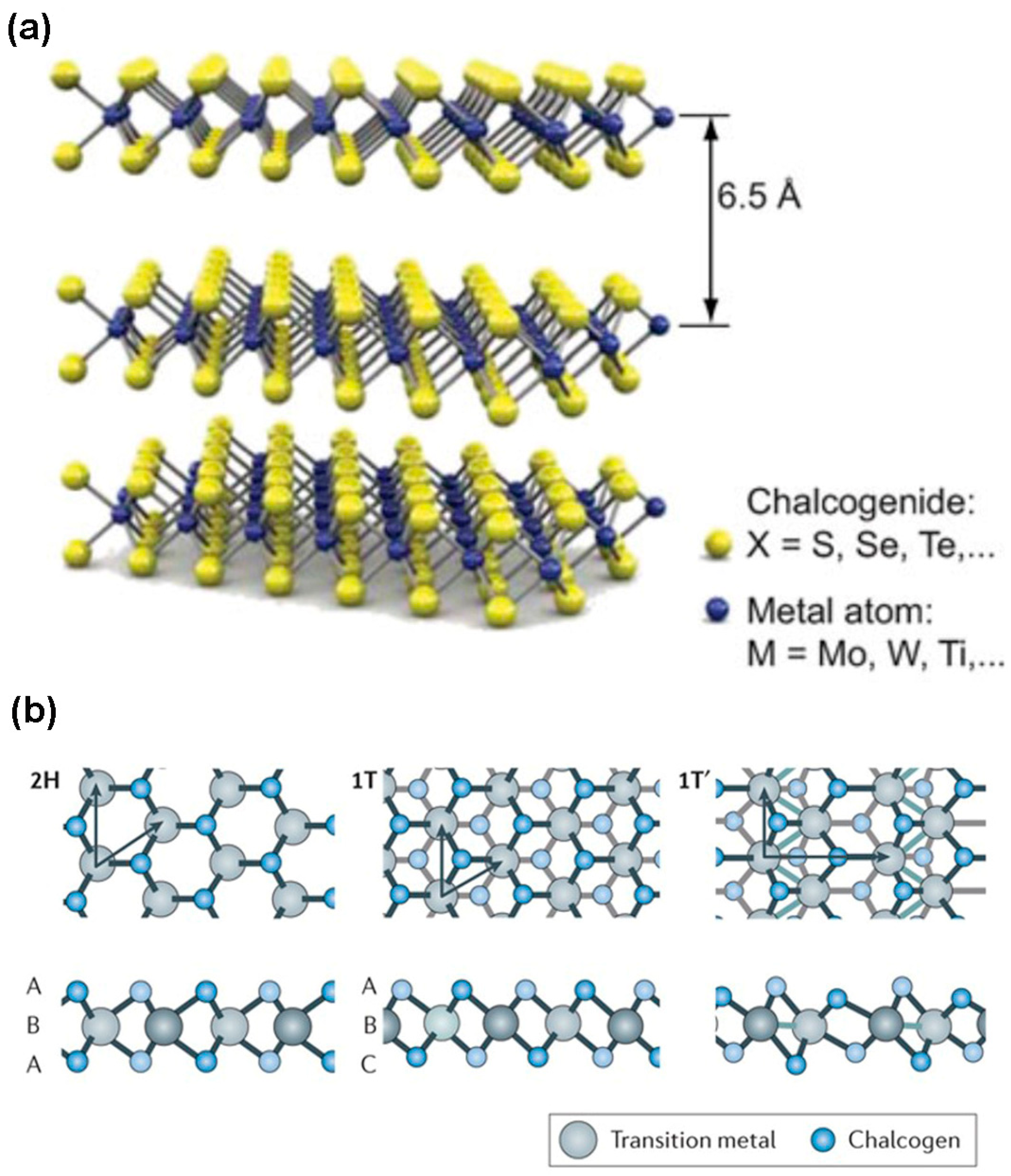 Nanomaterials 14 00410 g001