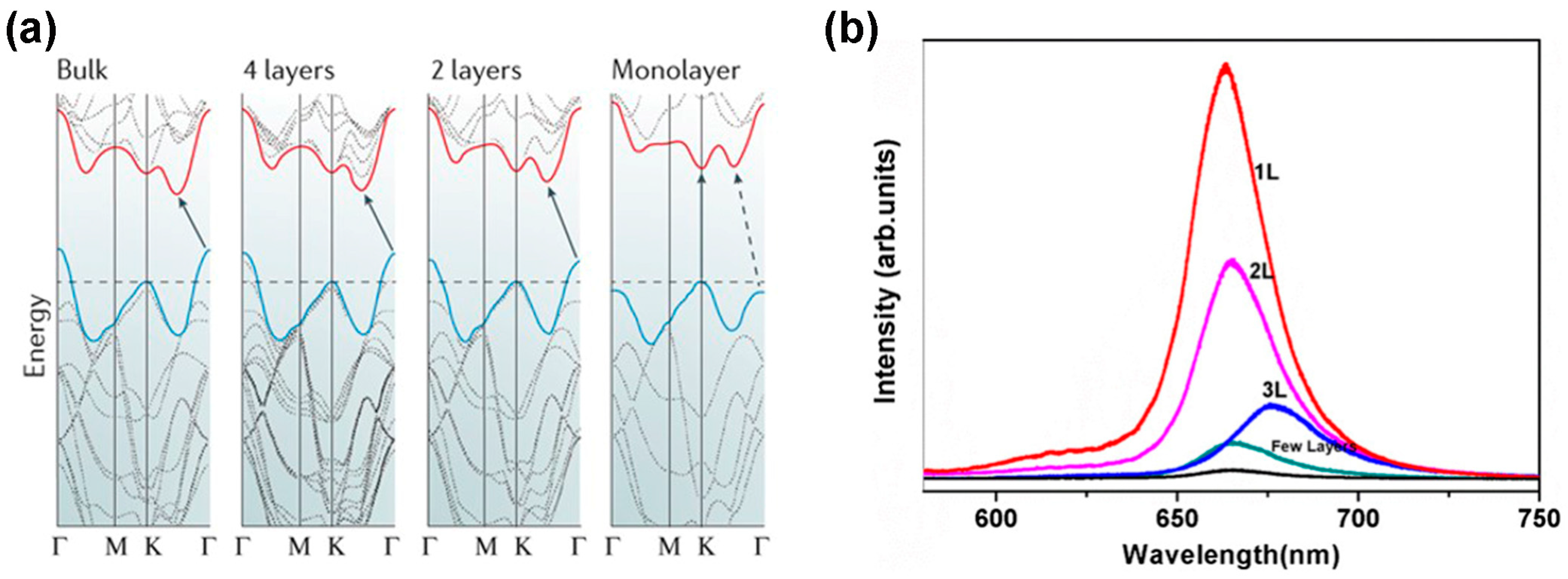 Nanomaterials 14 00410 g002