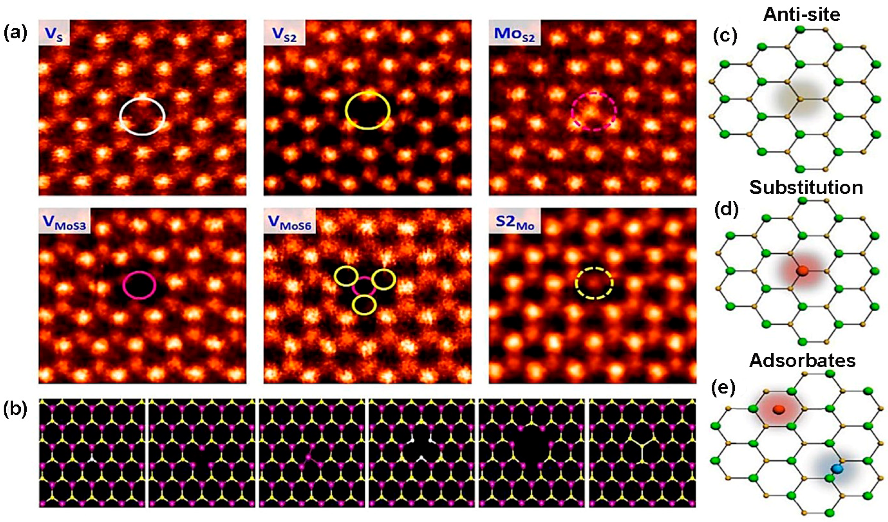 Nanomaterials 14 00410 g004