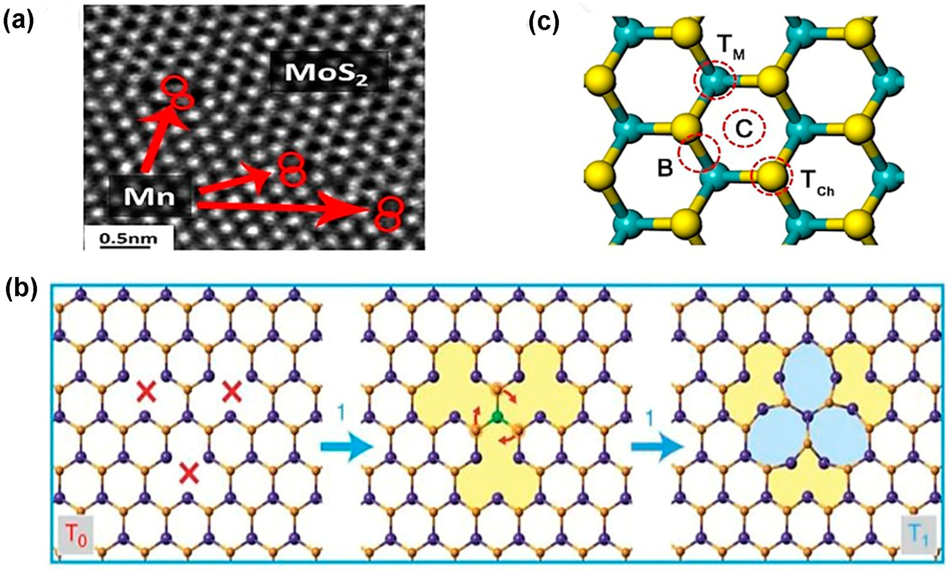 Nanomaterials 14 00410 g005