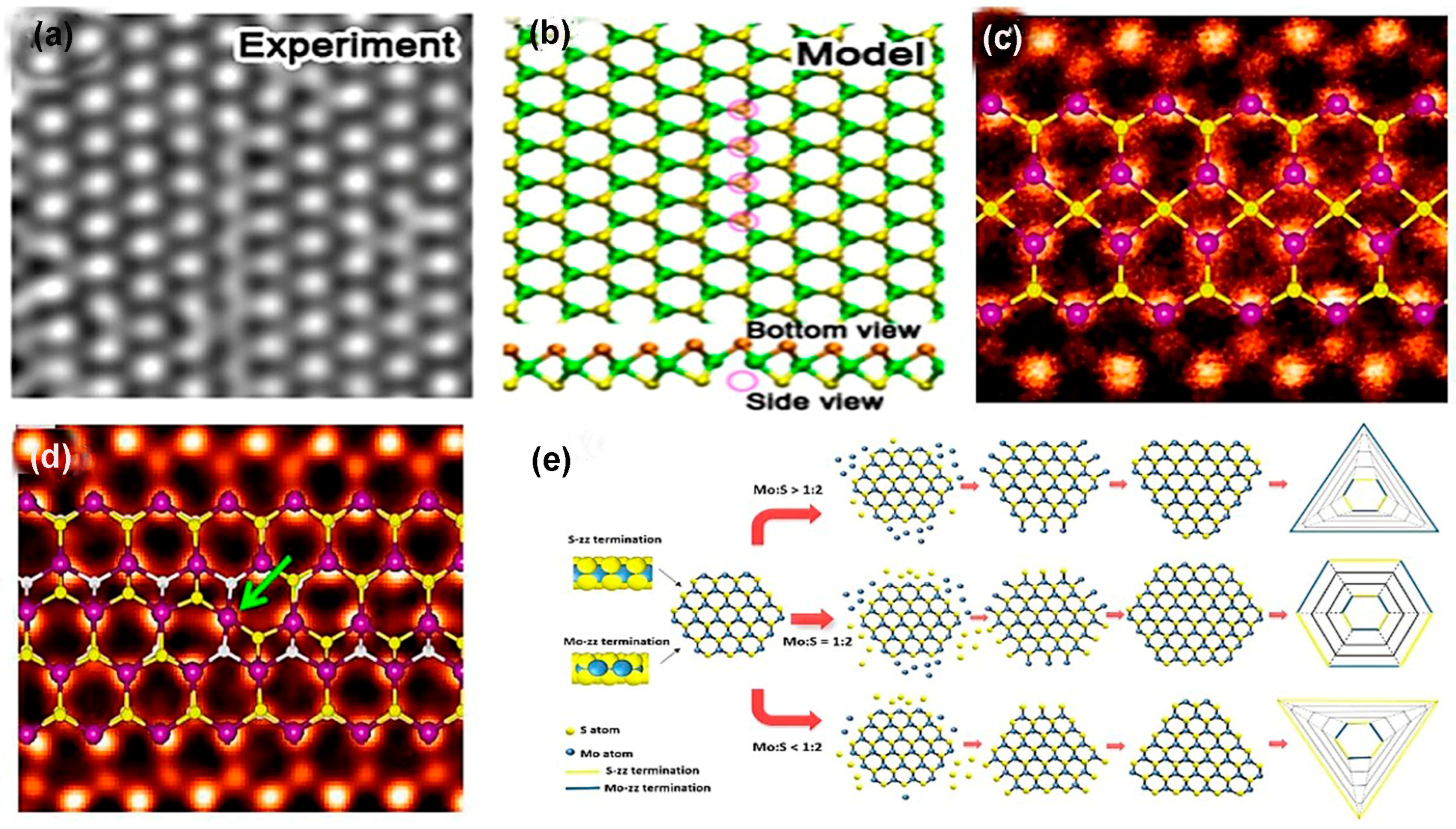 Nanomaterials 14 00410 g006