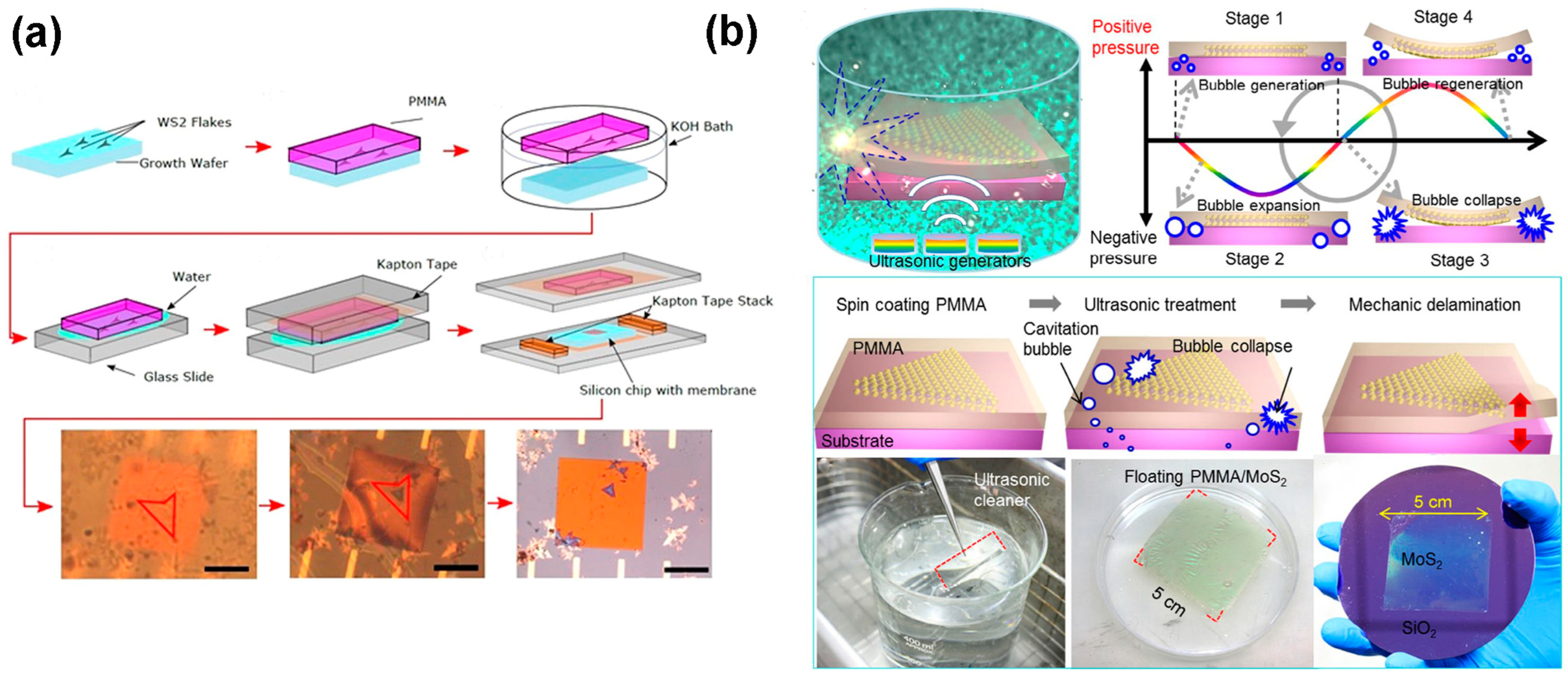 Nanomaterials 14 00410 g009