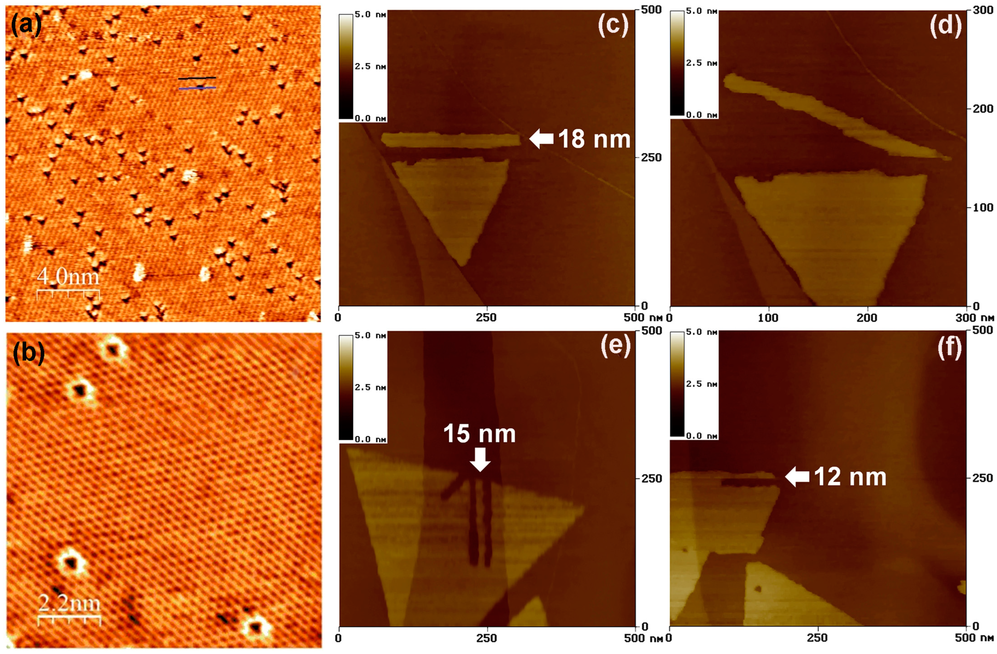 Nanomaterials 14 00410 g010