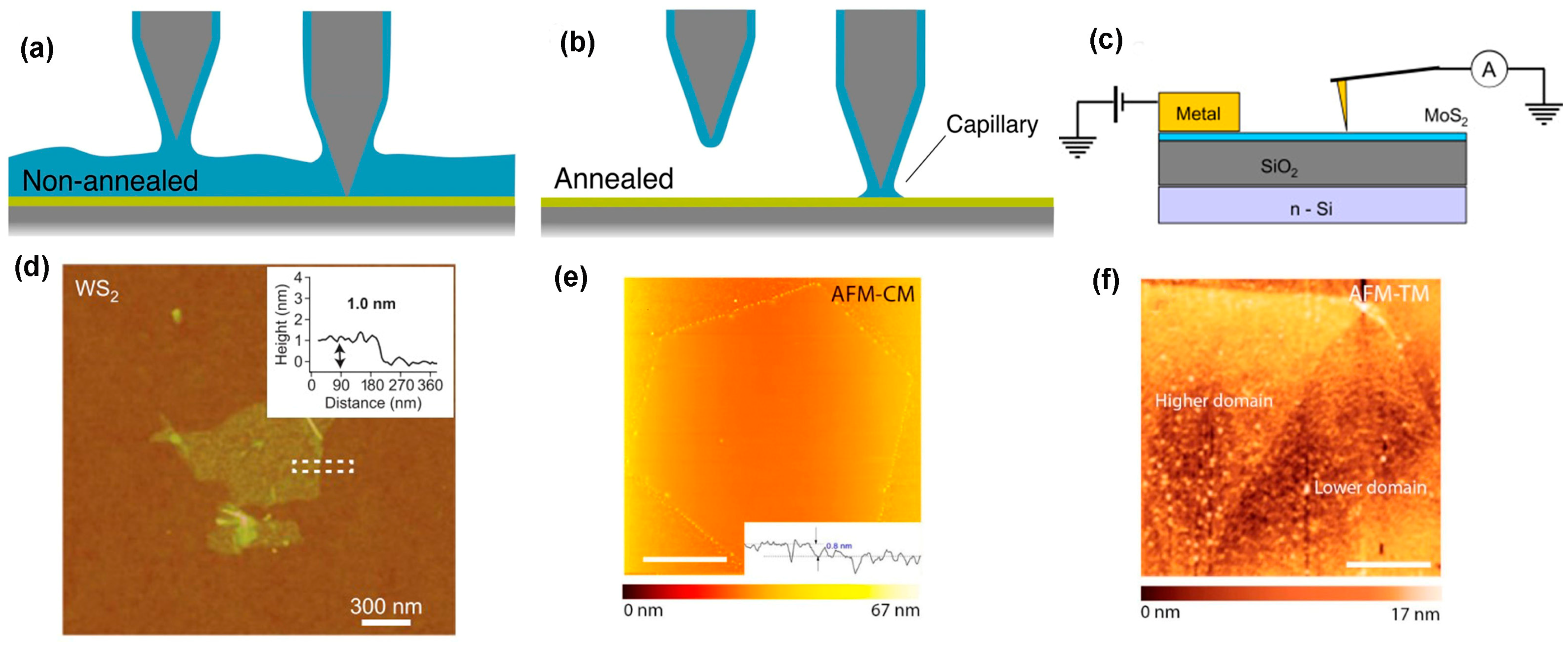 Nanomaterials 14 00410 g012