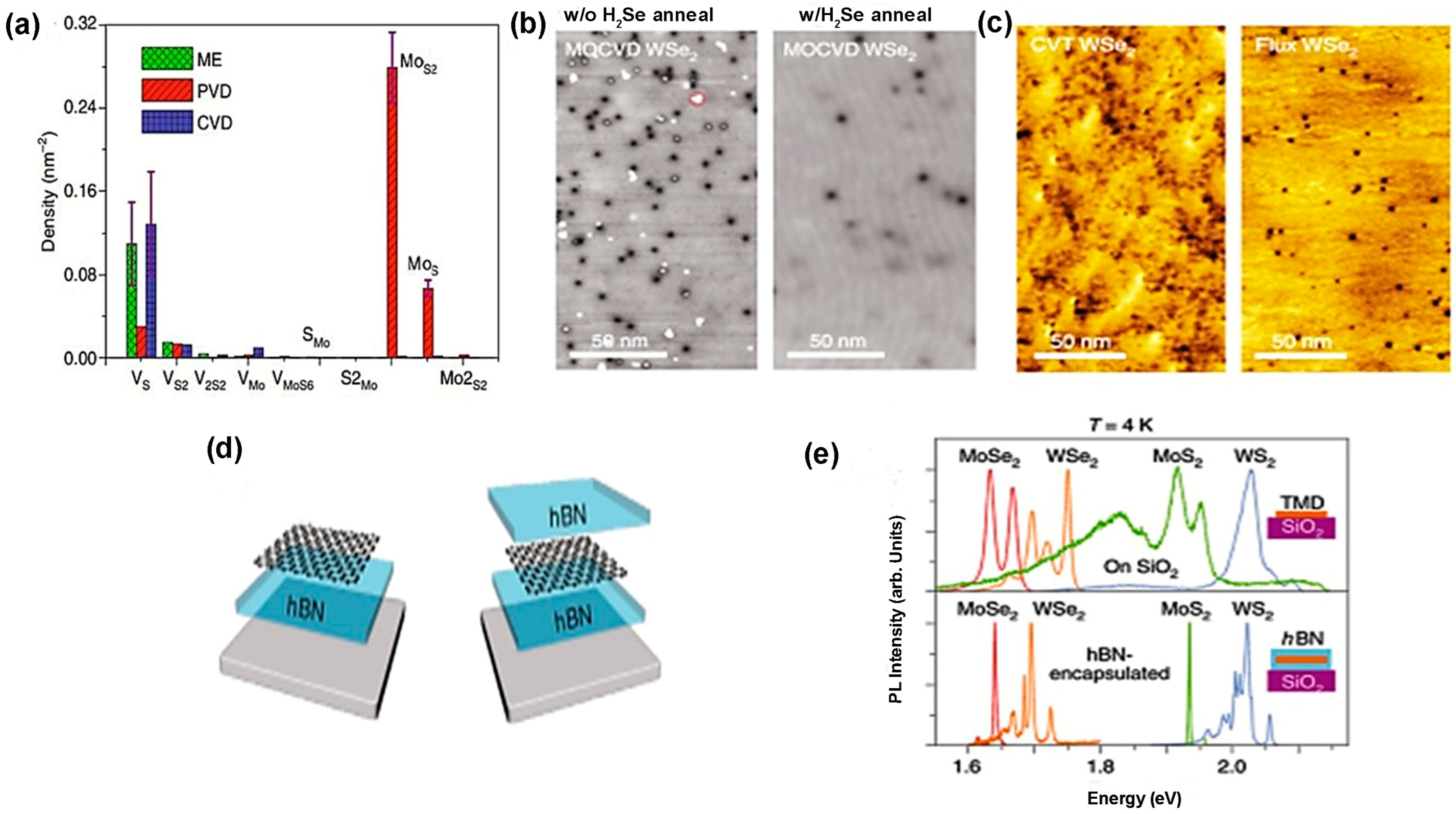 Nanomaterials 14 00410 g013
