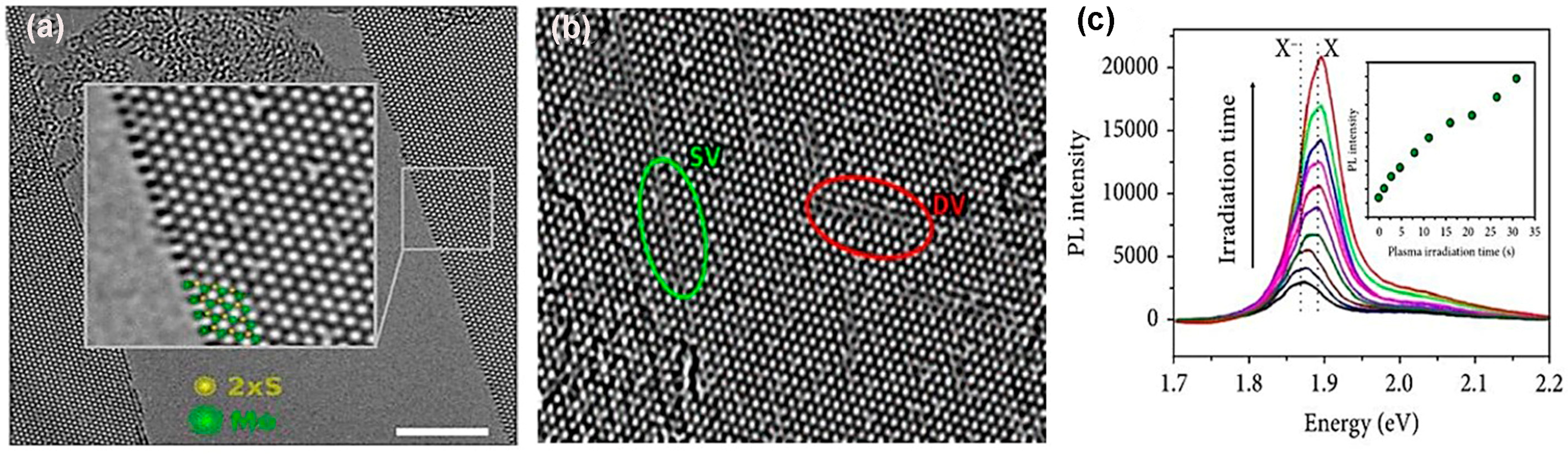 Nanomaterials 14 00410 g014