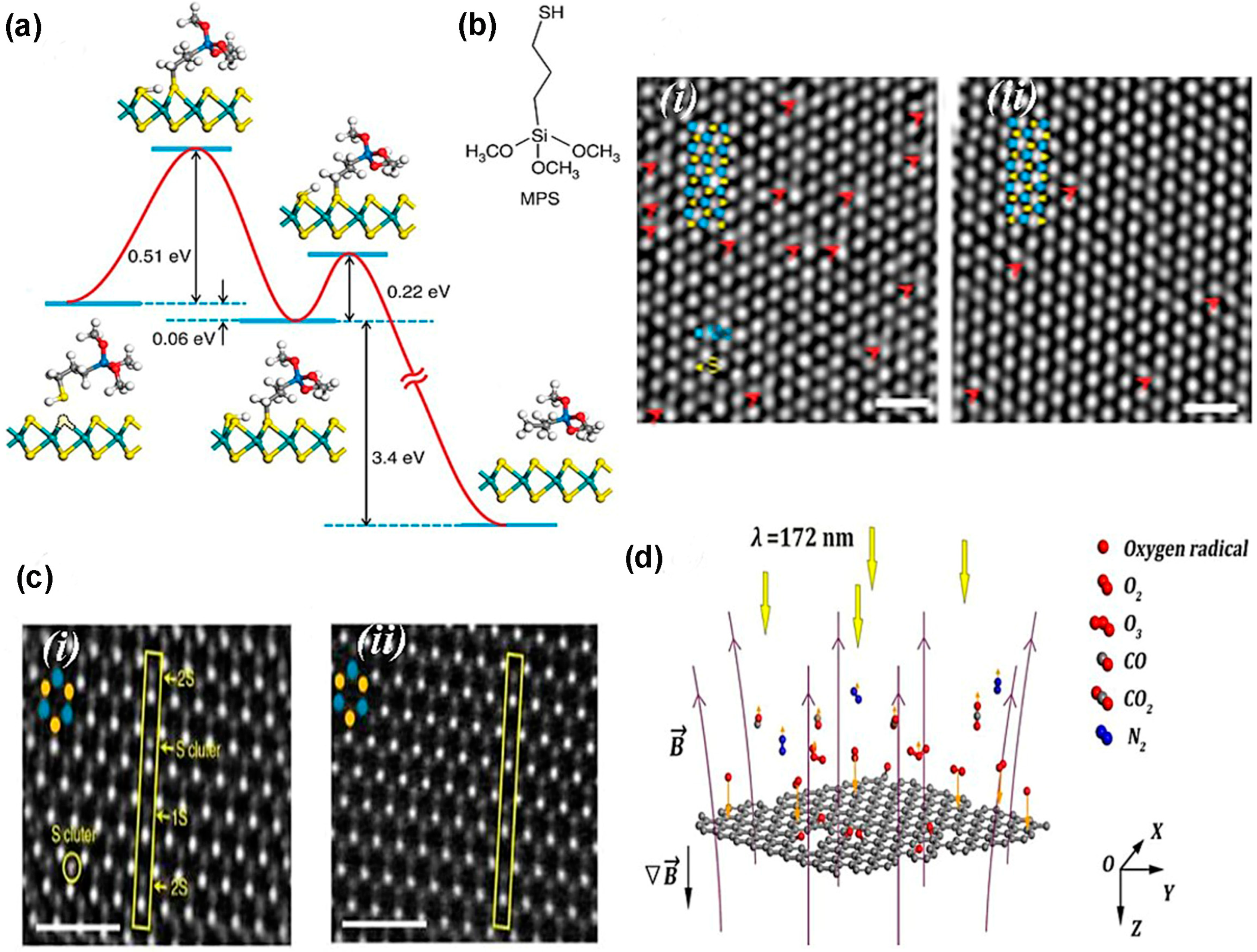 Nanomaterials 14 00410 g015