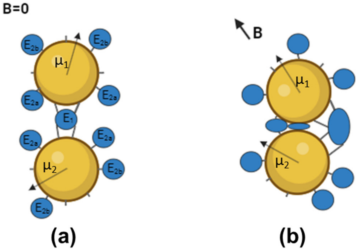 Nanomaterials 14 00411 g003
