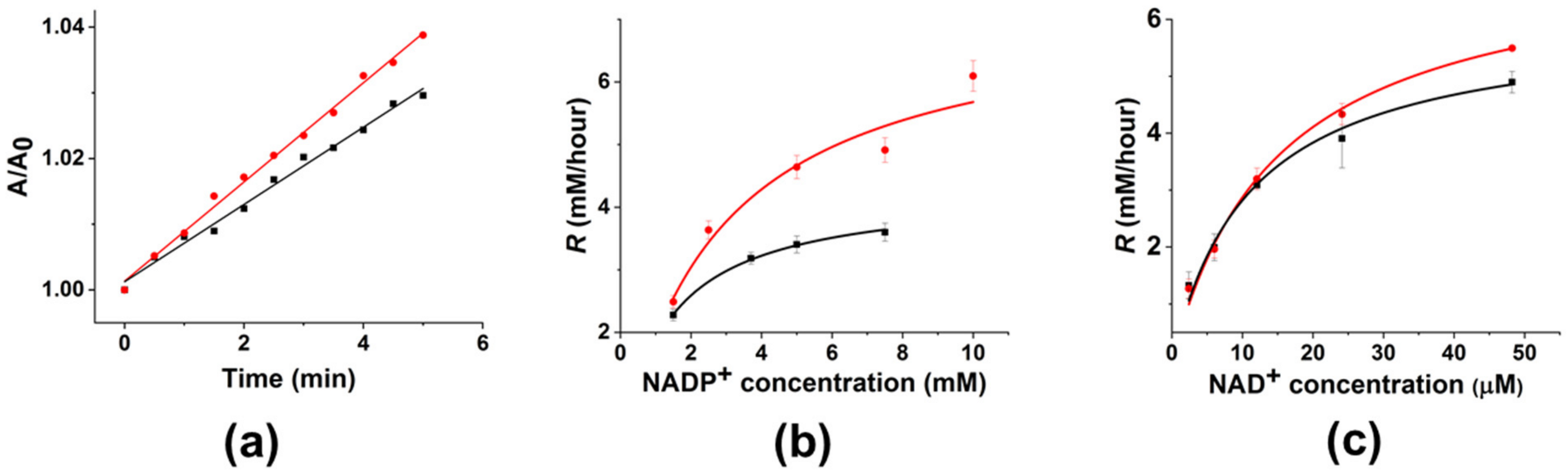 Nanomaterials 14 00411 g004