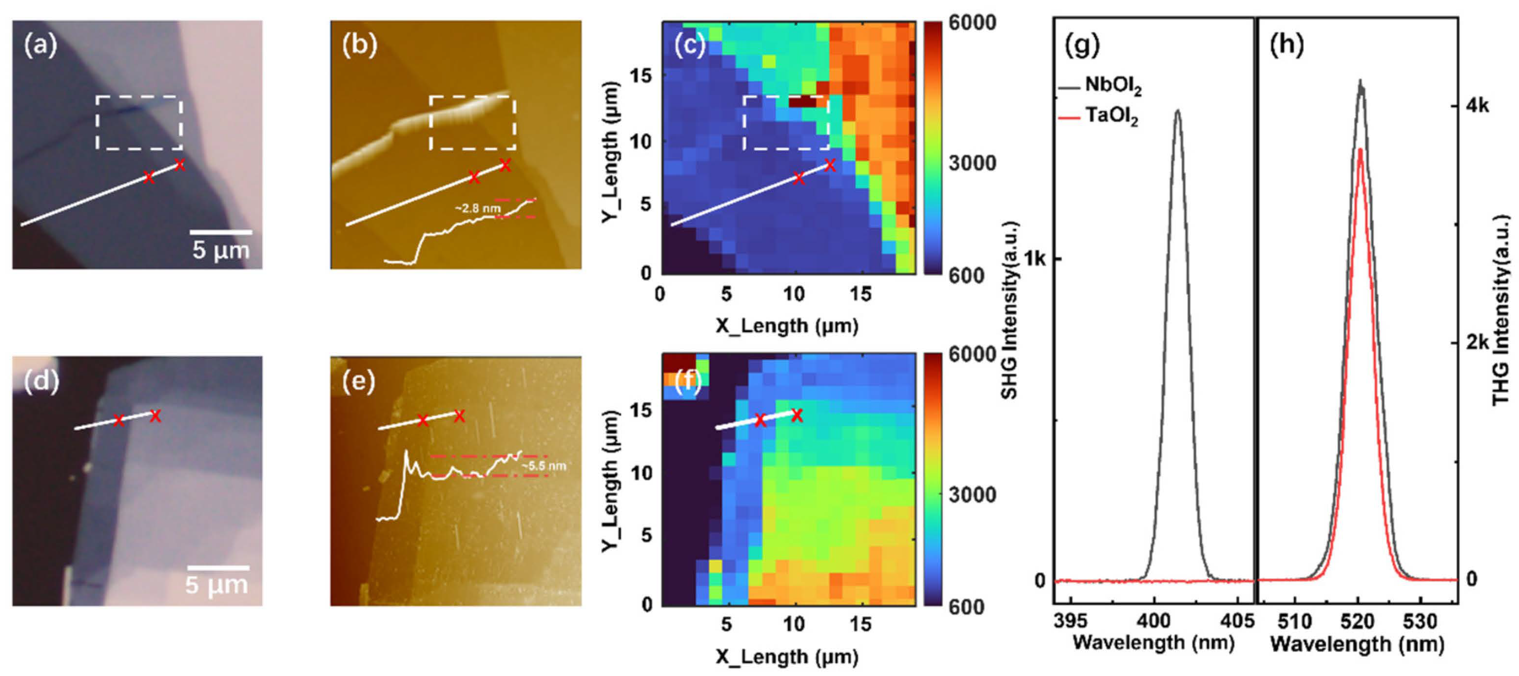 Nanomaterials 14 00412 g001