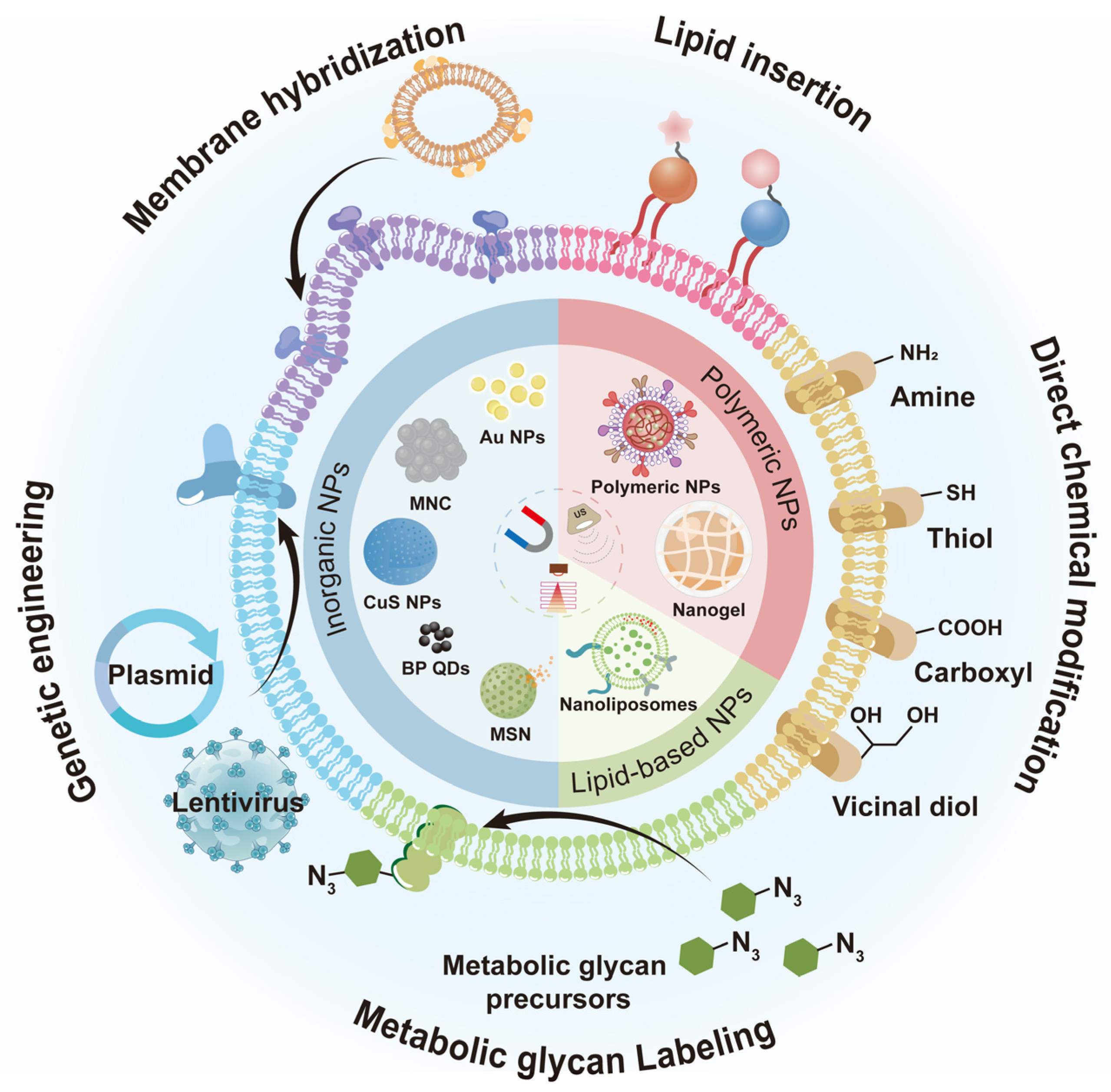 Nanomaterials 14 00413 g001