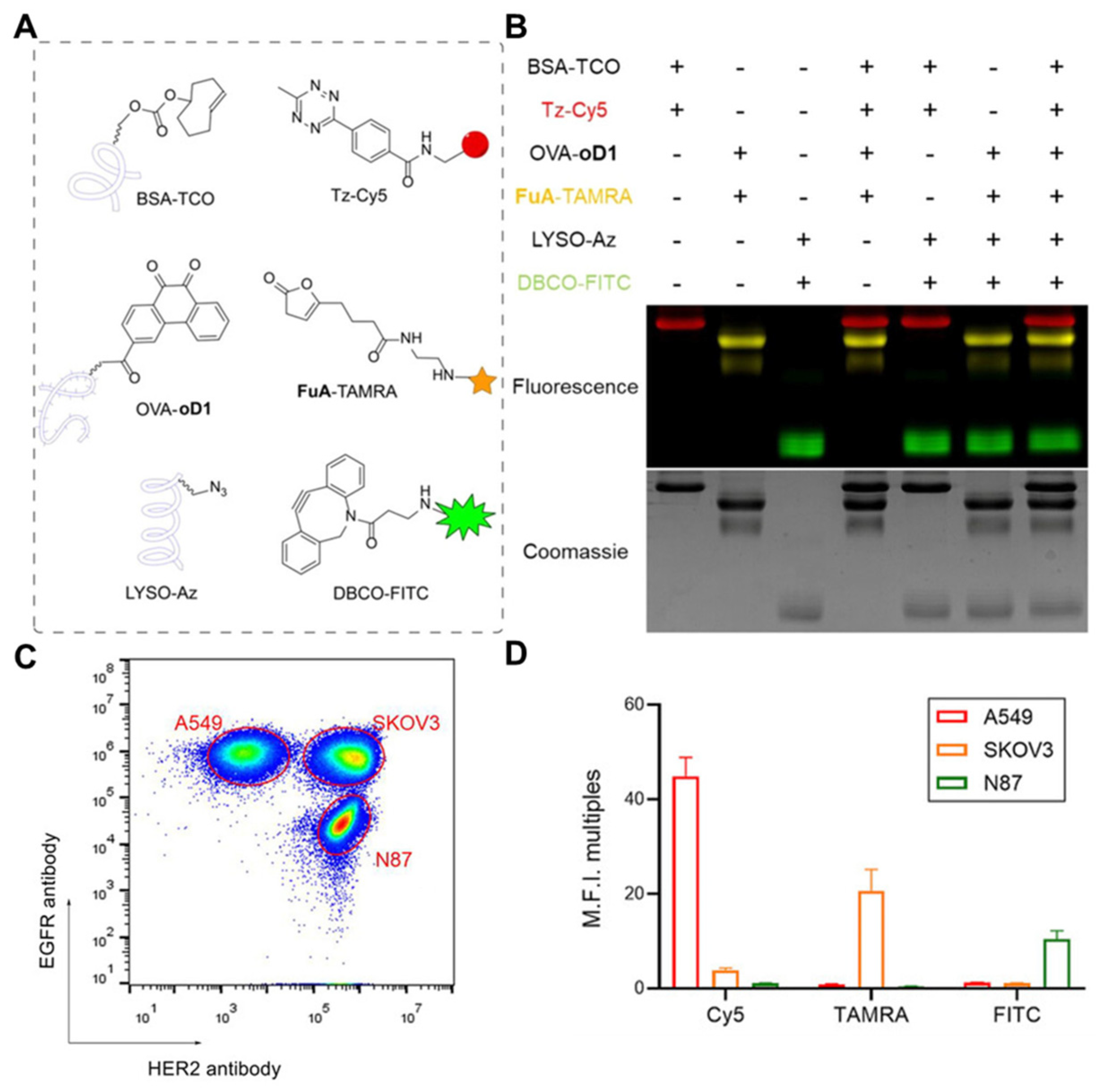 Nanomaterials 14 00413 g004