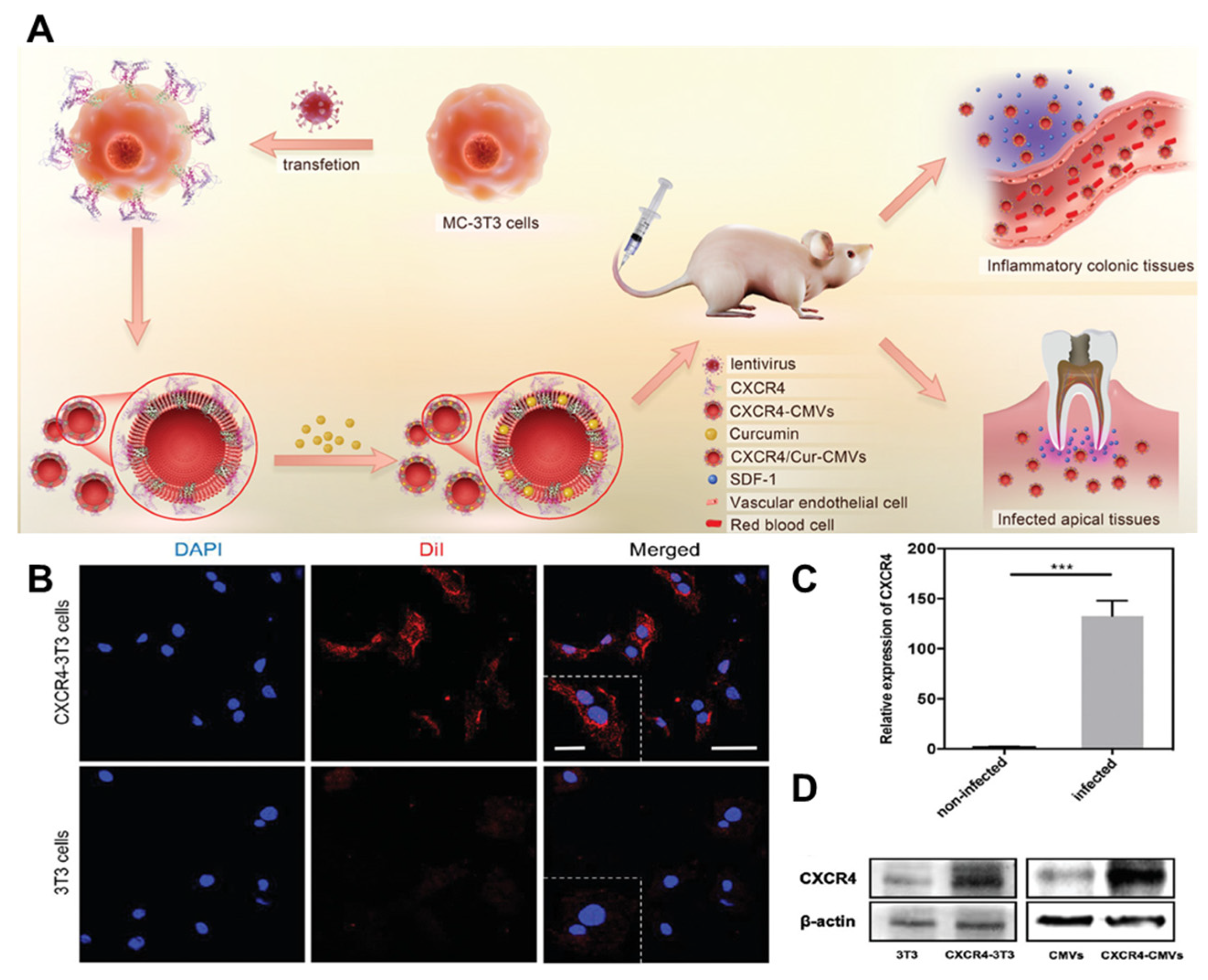 Nanomaterials 14 00413 g006