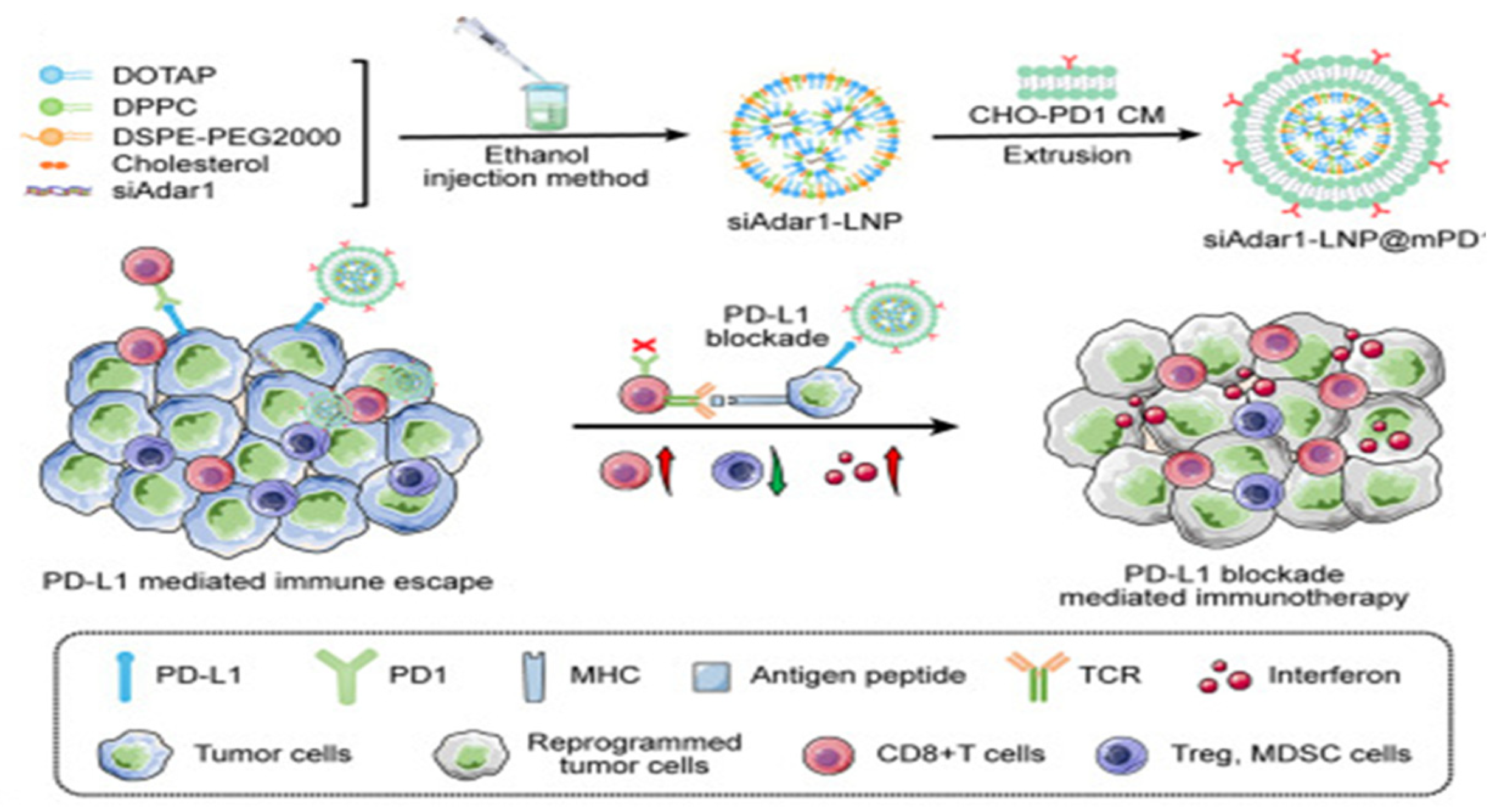 Nanomaterials 14 00413 g010