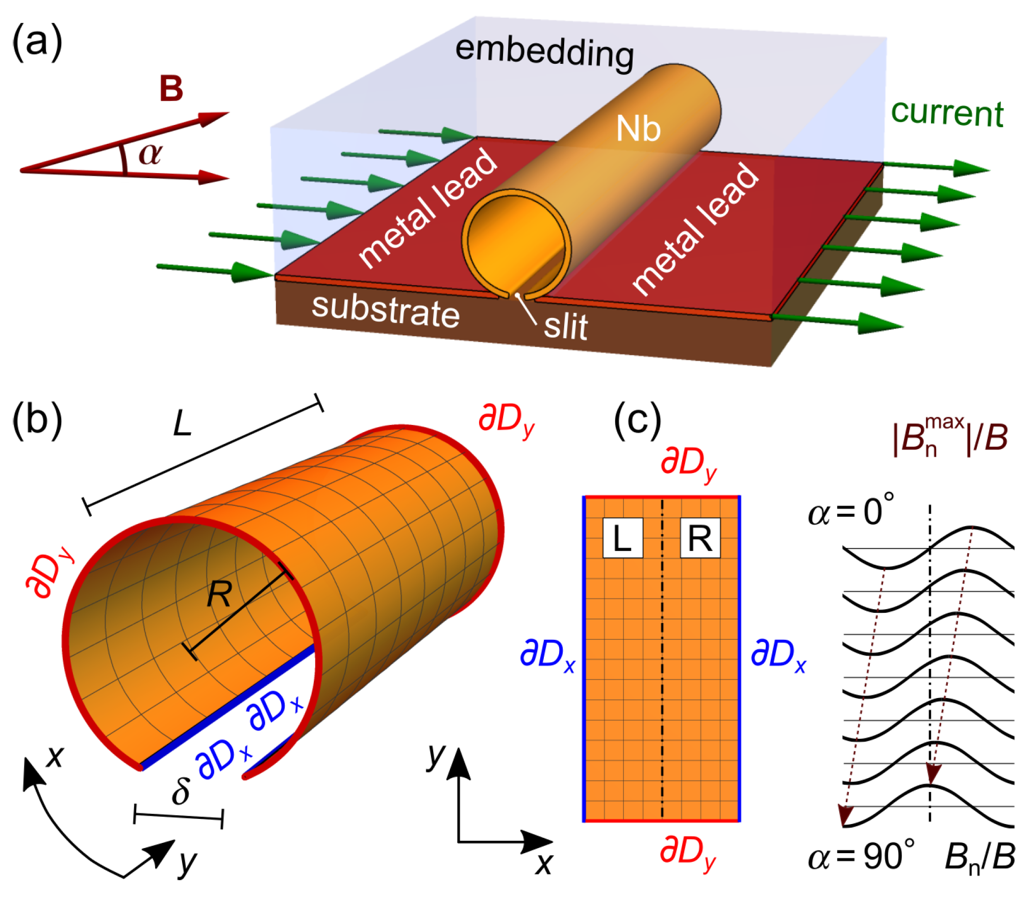 Nanomaterials 14 00420 g001 Nanomaterials 14 00420 g001