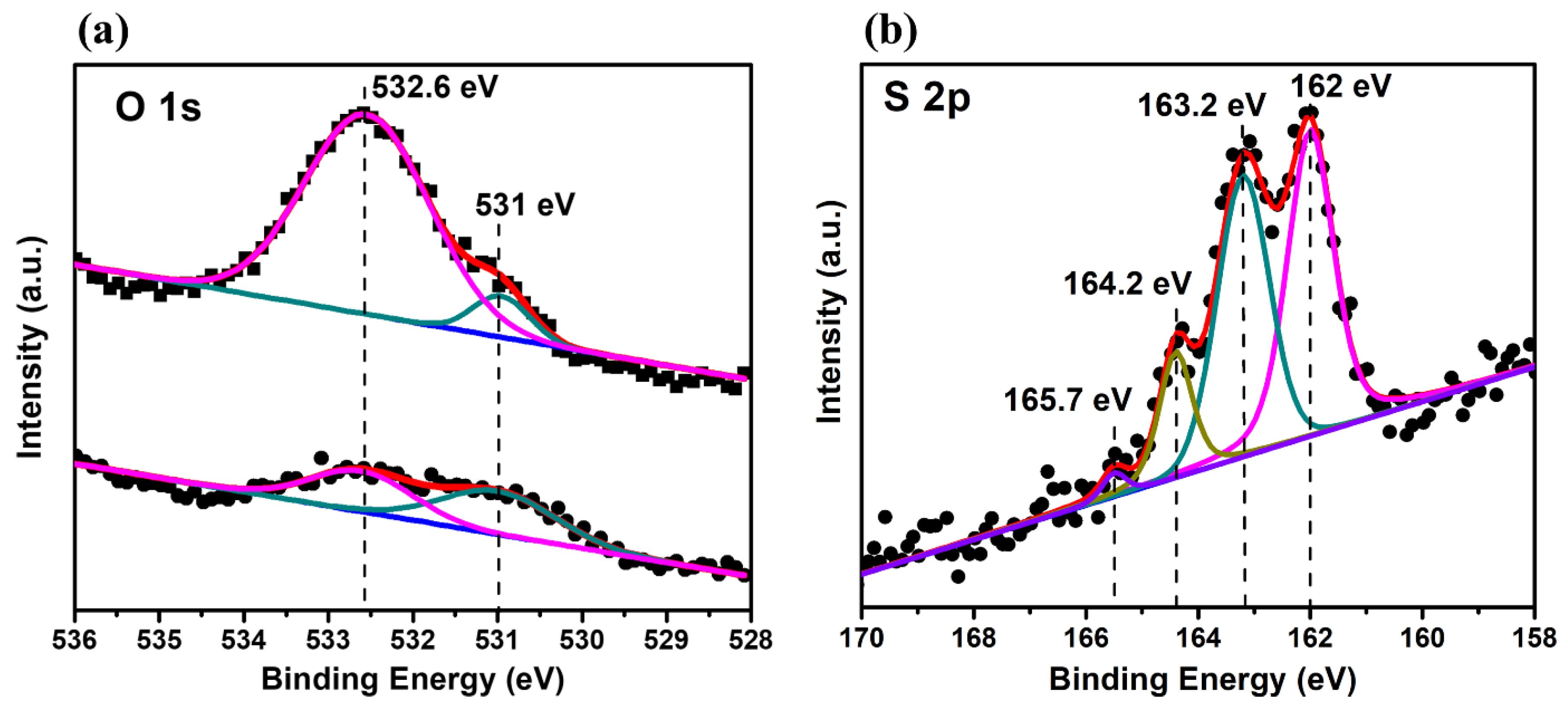 Nanomaterials 14 00424 g002