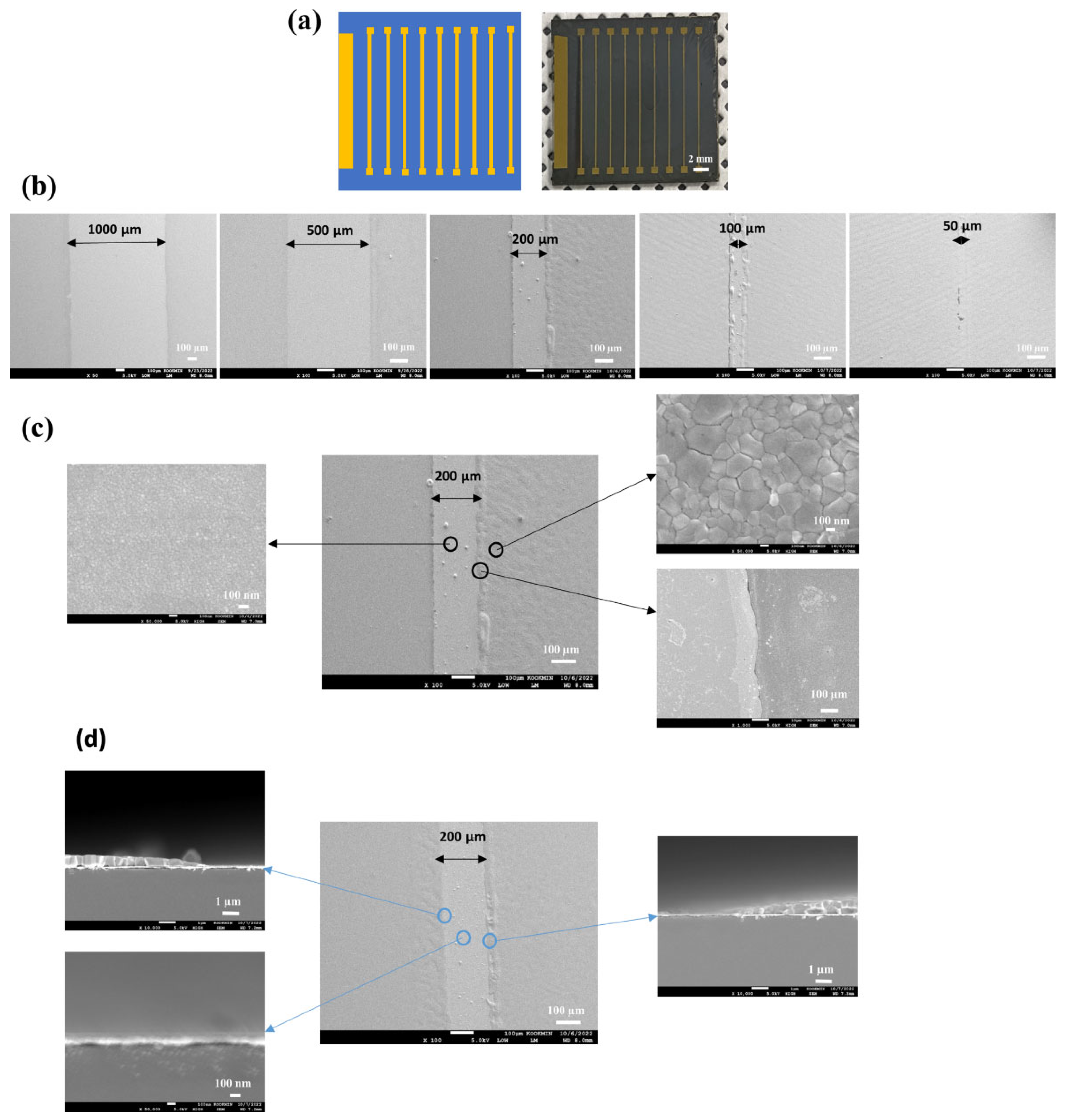 Nanomaterials 14 00424 g005
