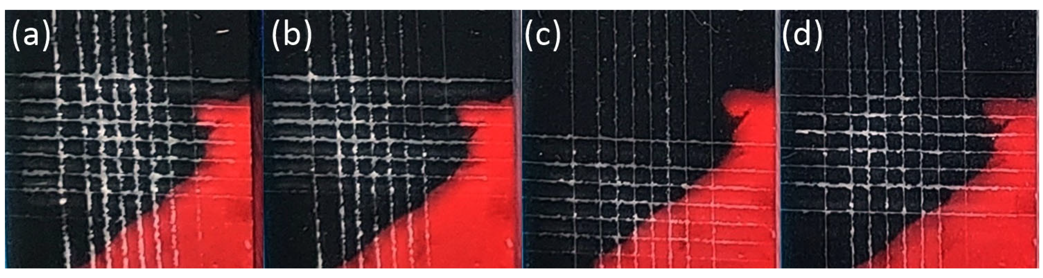 Nanomaterials 14 00426 g010