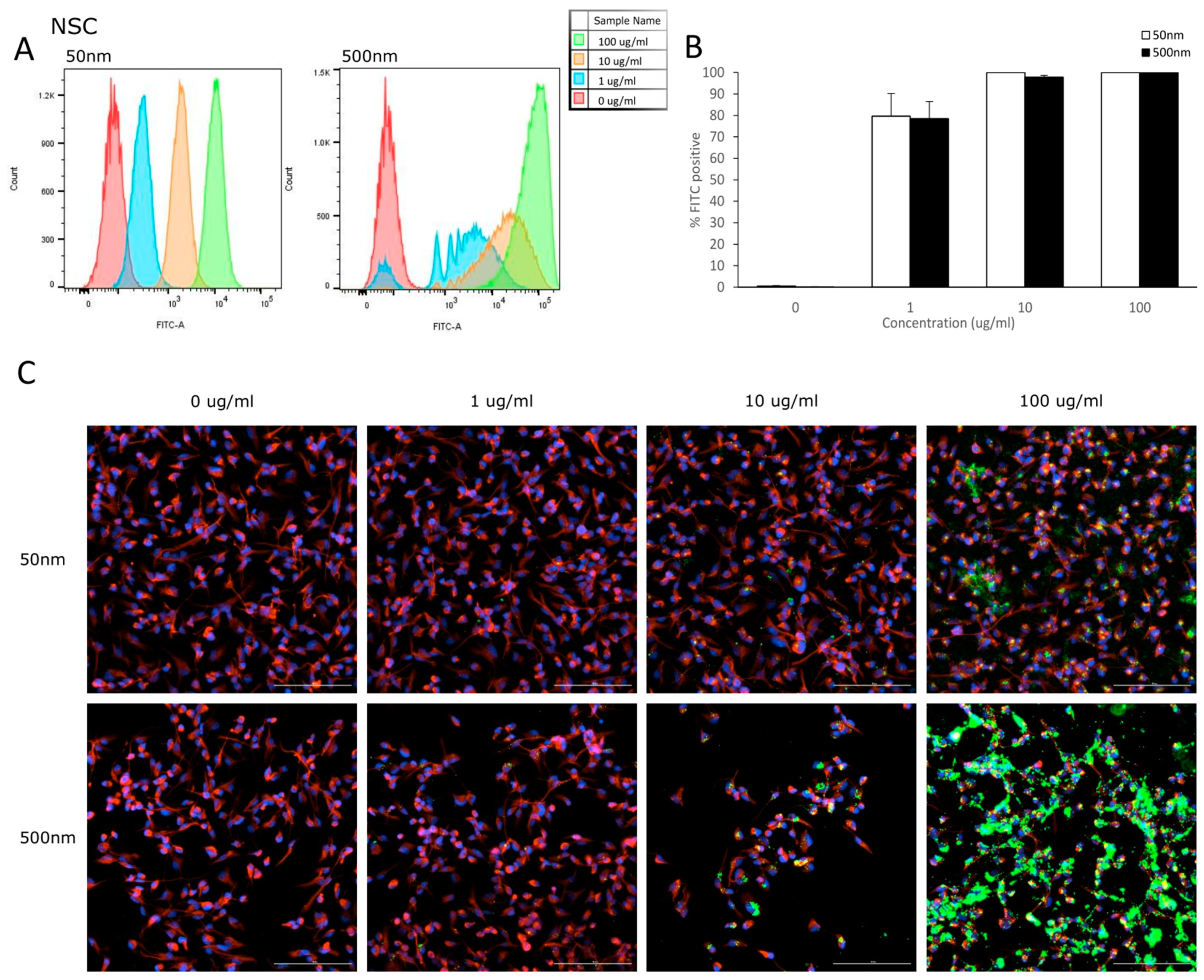 Nanomaterials 14 00429 g003