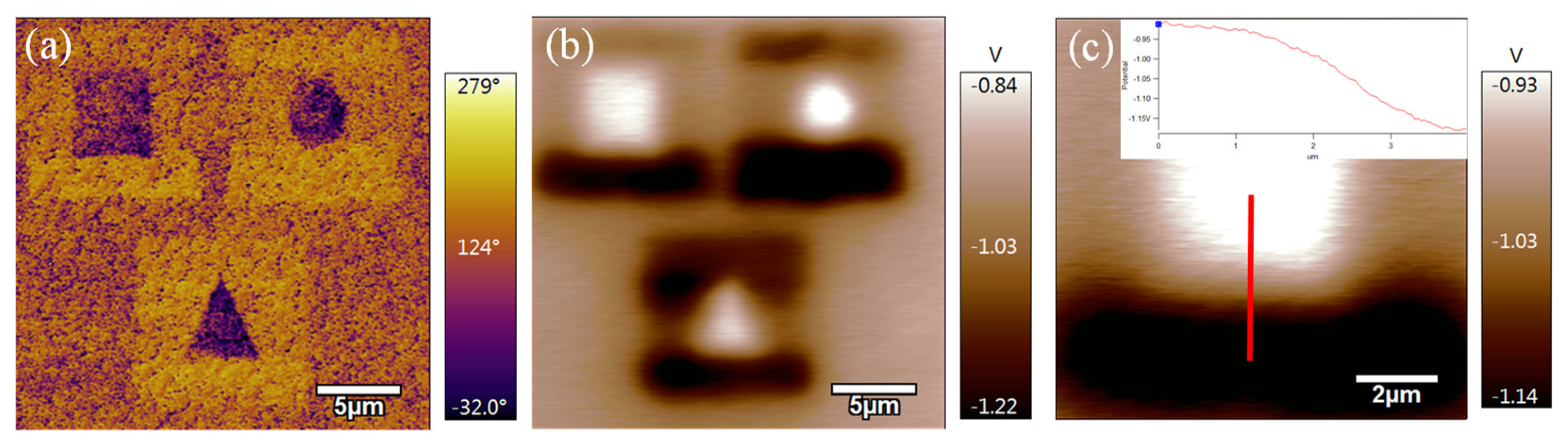Nanomaterials 14 00432 g005
