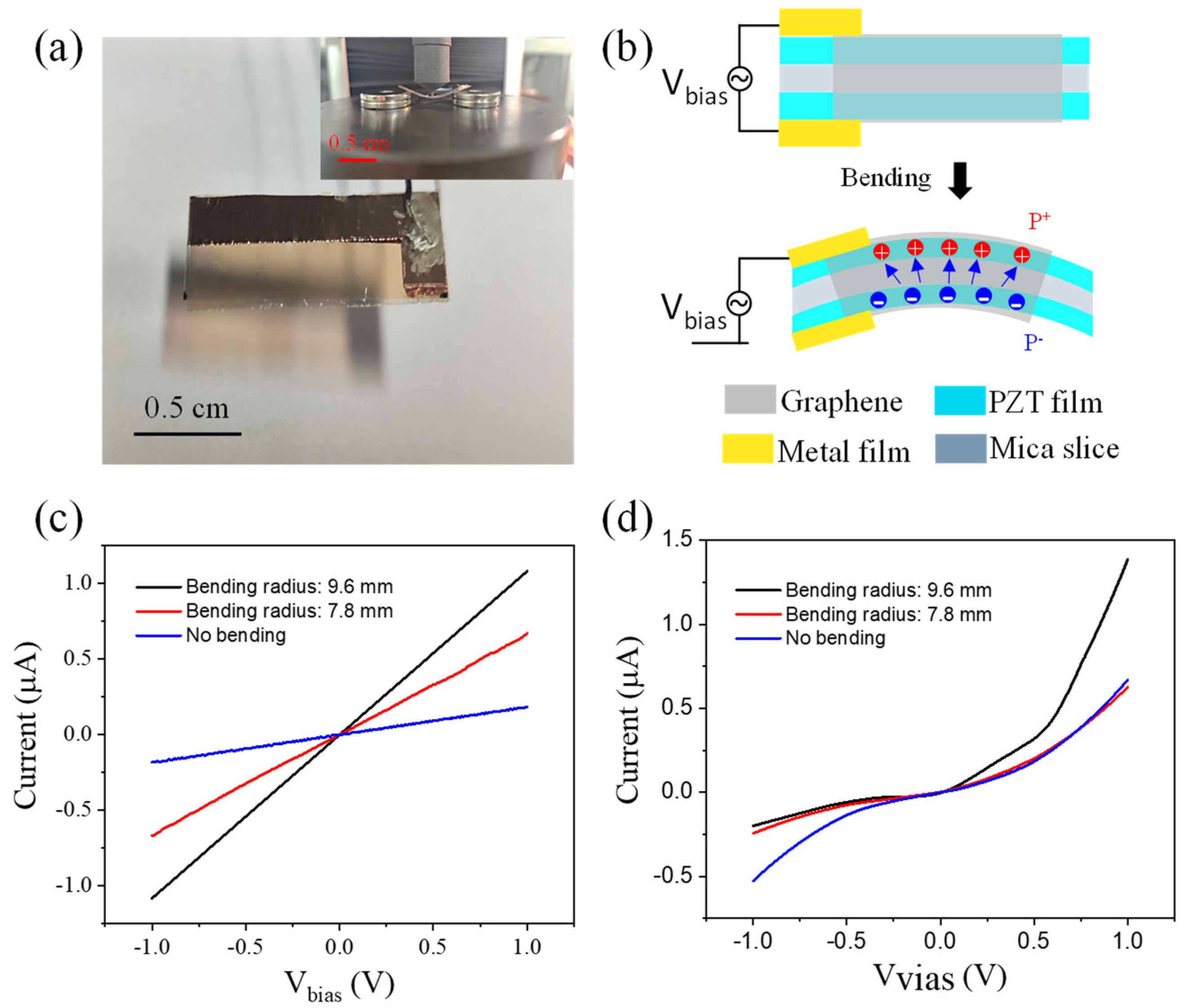 Nanomaterials 14 00432 g007