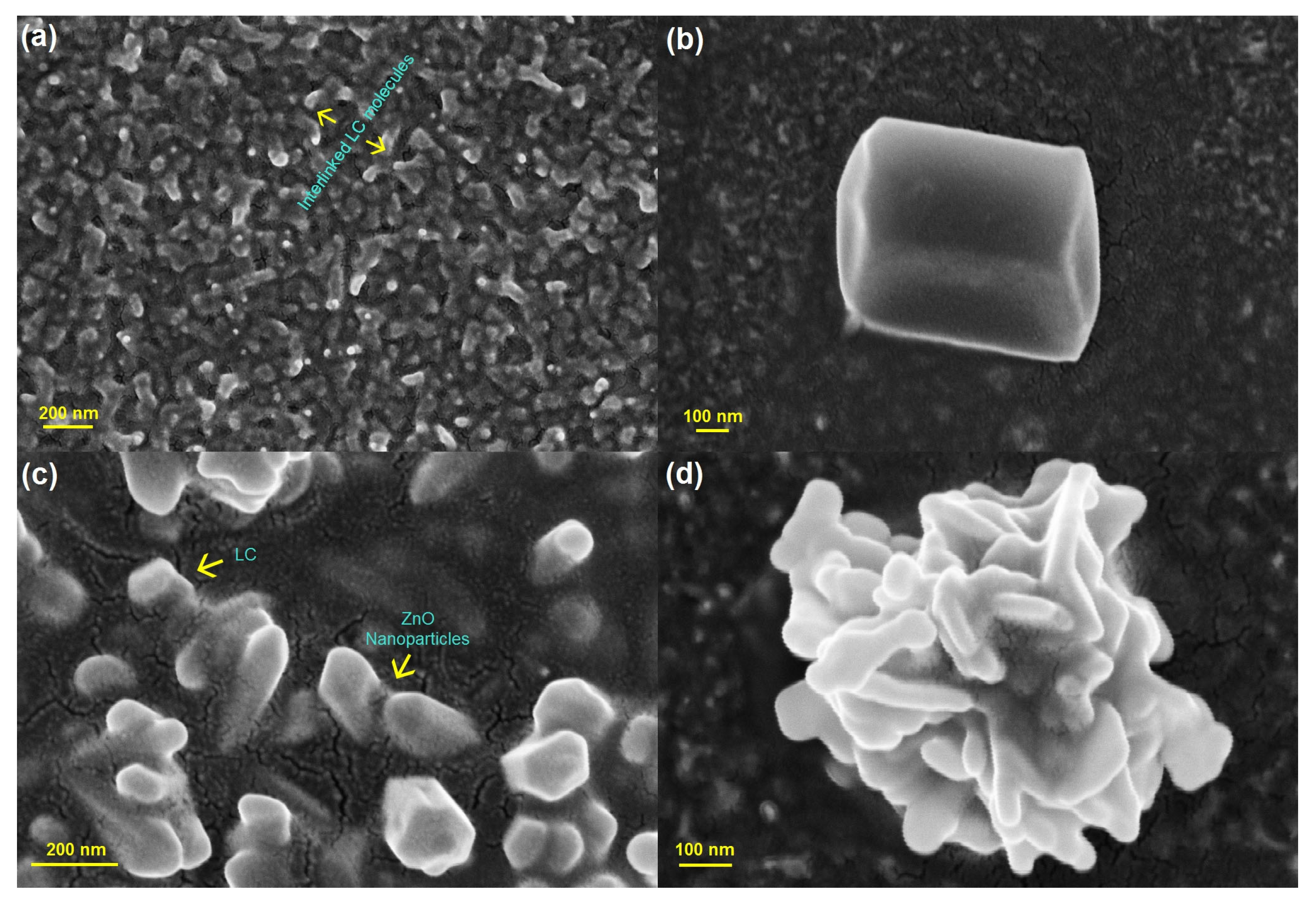 Nanomaterials 14 00436 g001