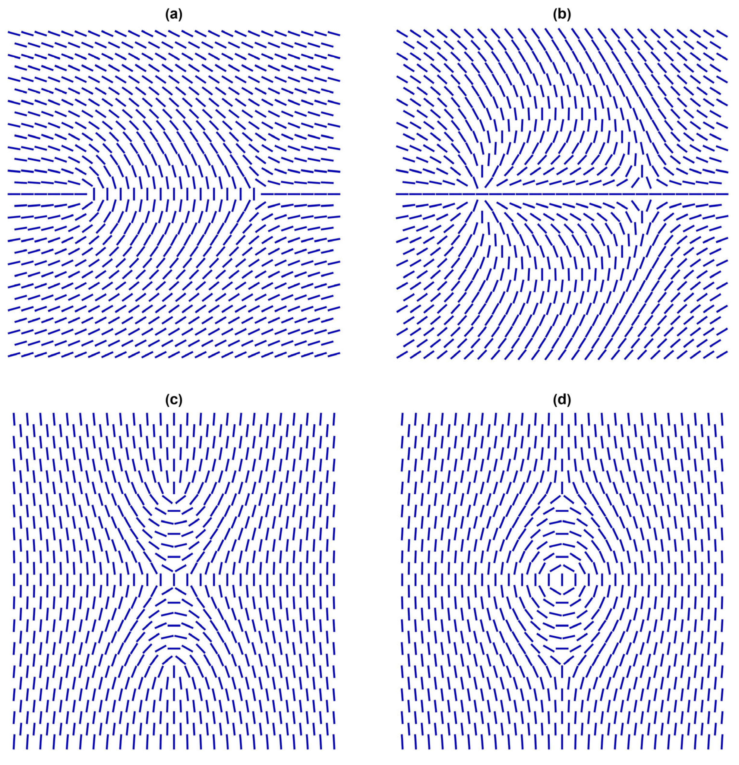 Nanomaterials 14 00436 g005
