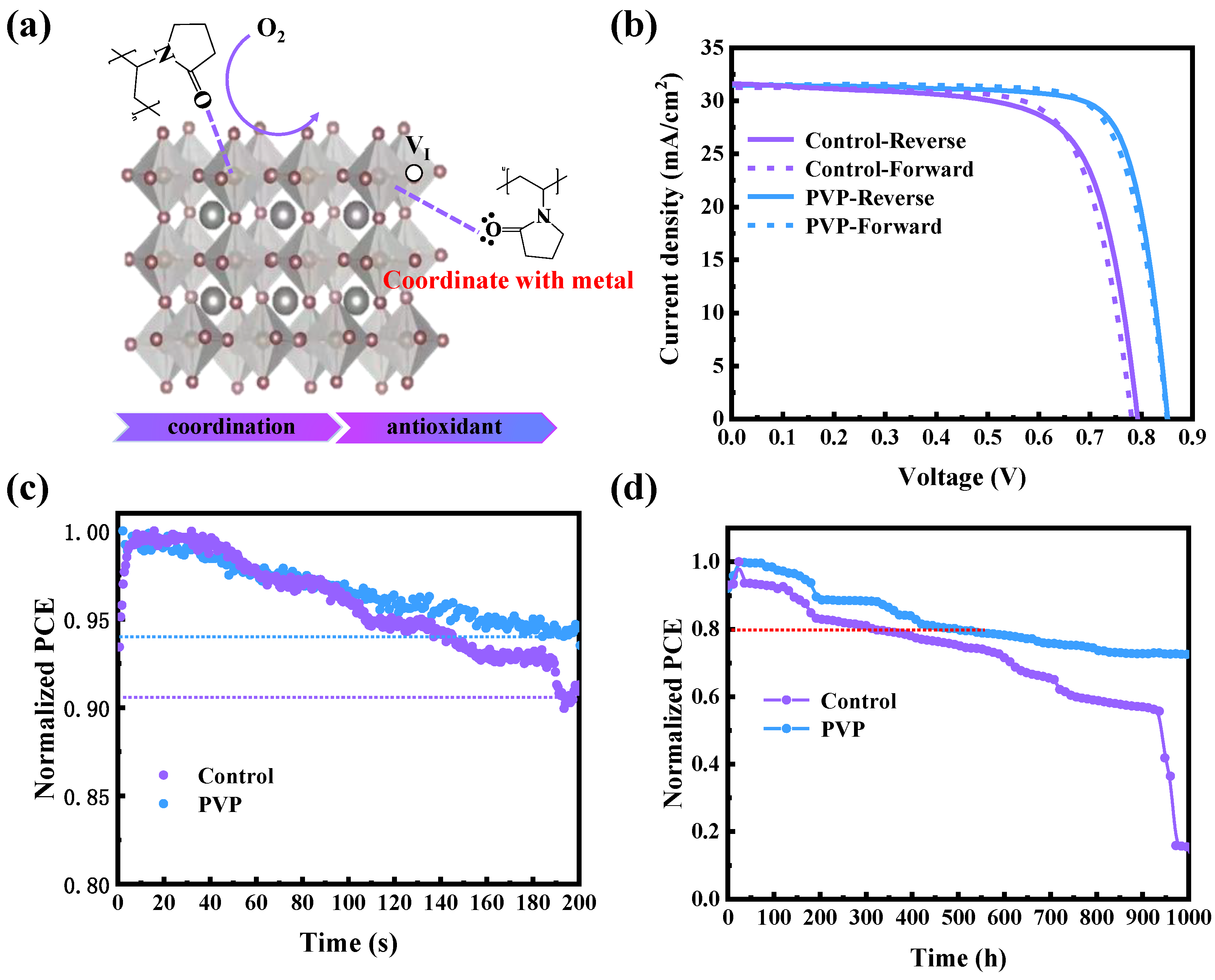 Nanomaterials 14 00437 g004