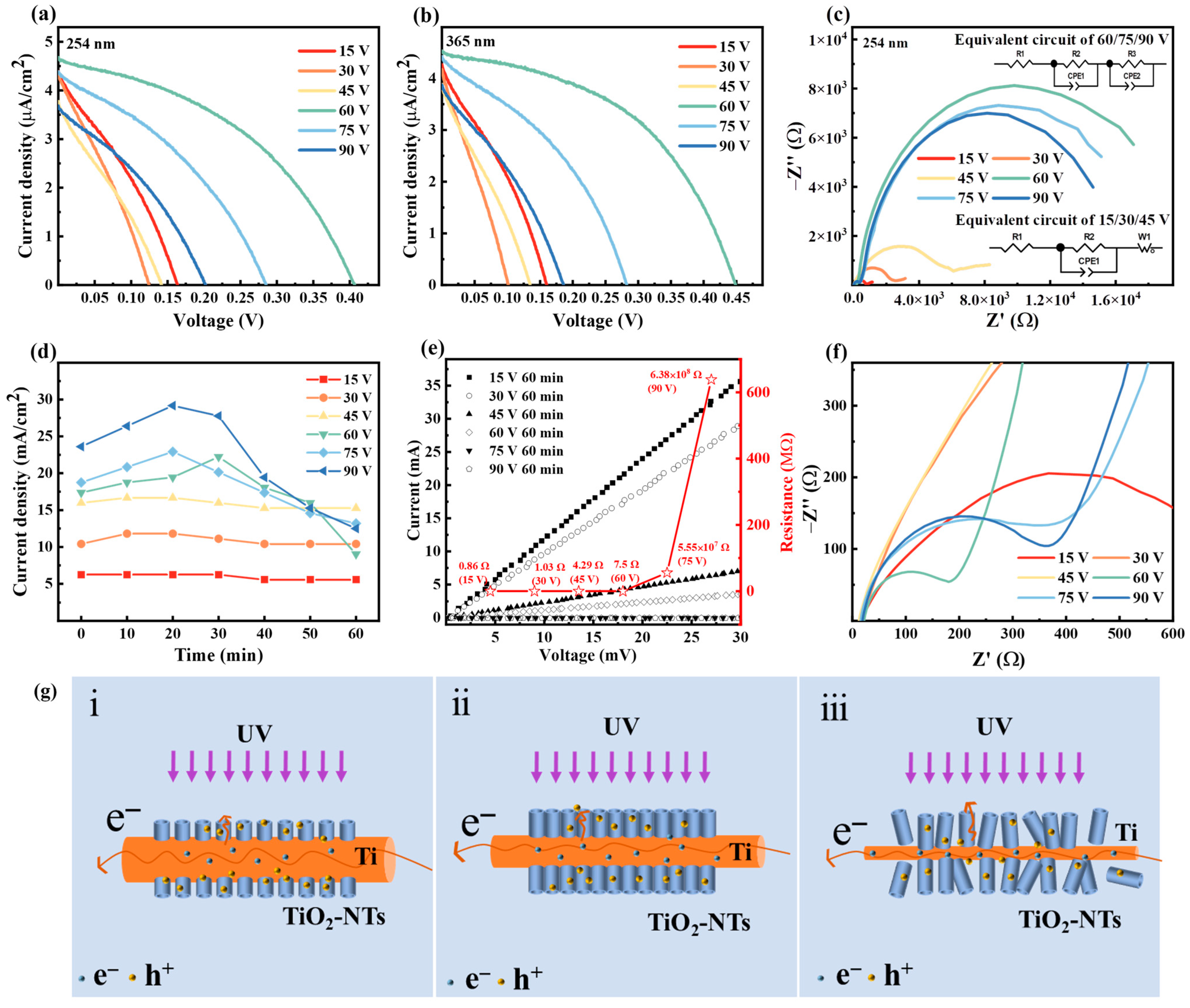Nanomaterials 14 00439 g004