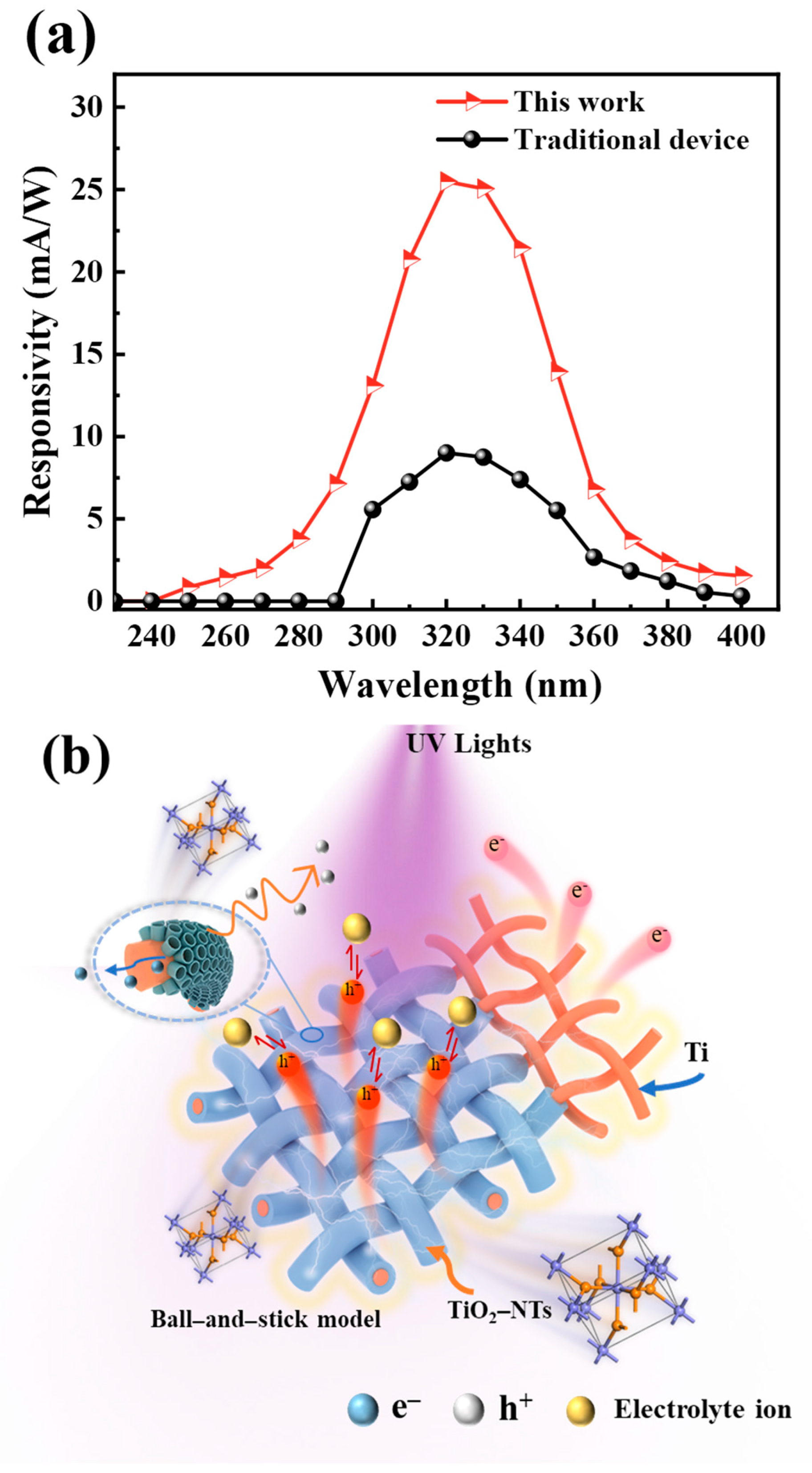 Nanomaterials 14 00439 g007