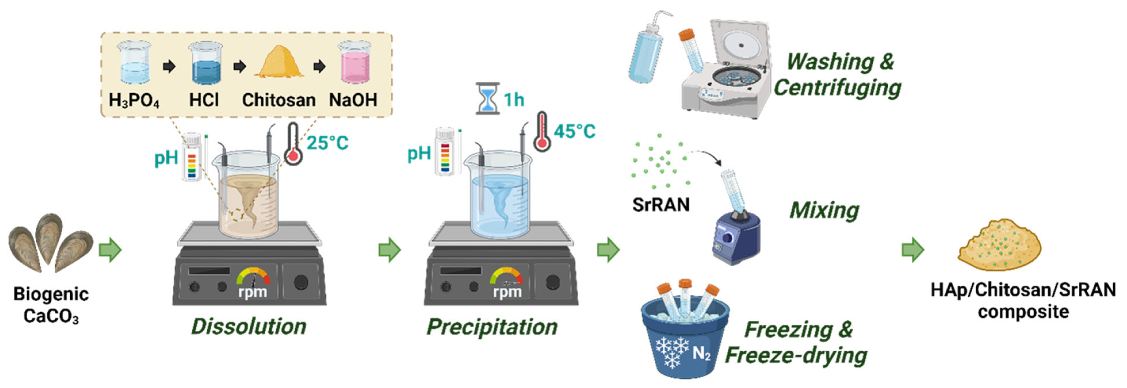 Nanomaterials 14 00441 g001 Nanomaterials 14 00441 g001