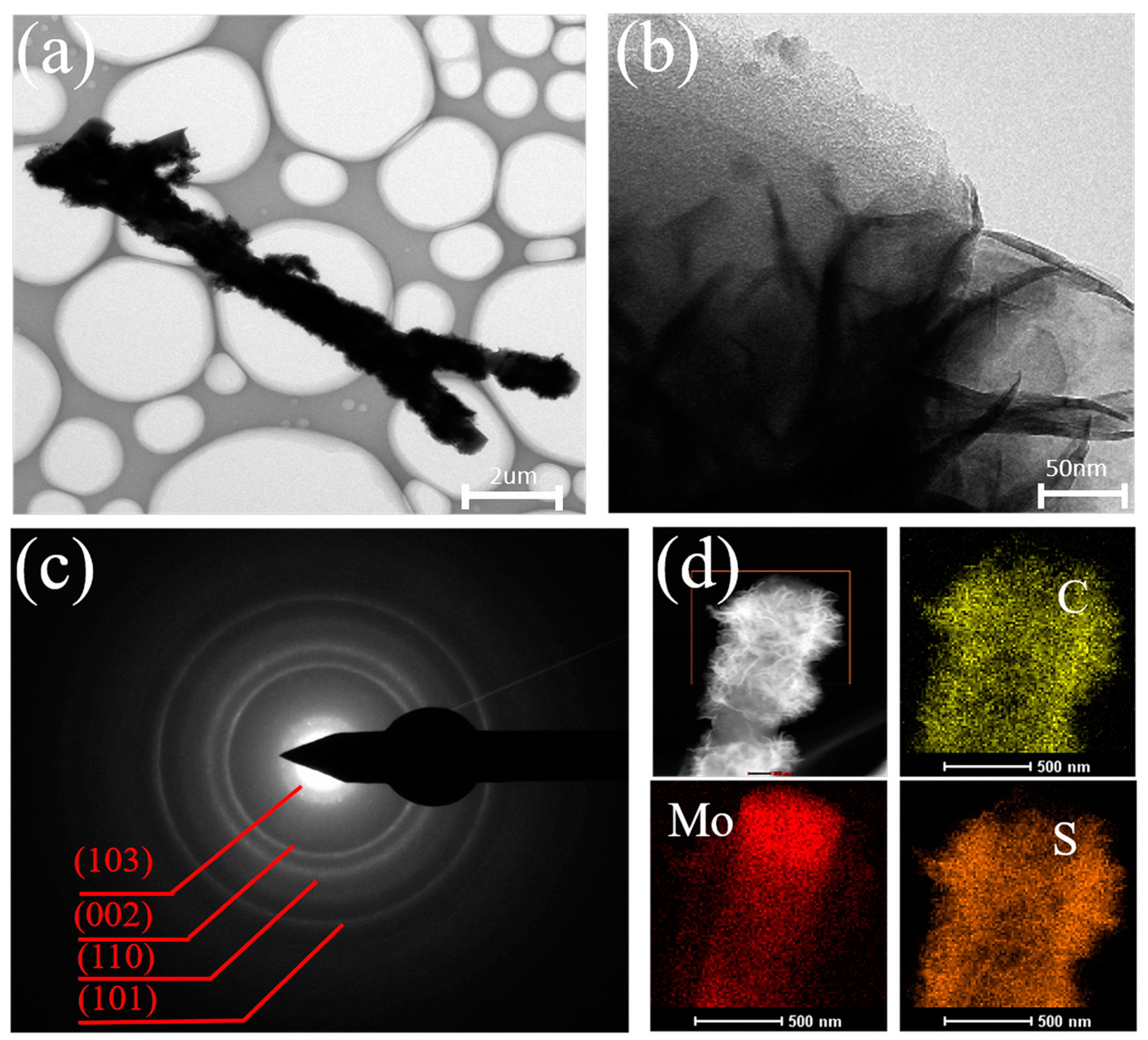 Nanomaterials 14 00442 g004