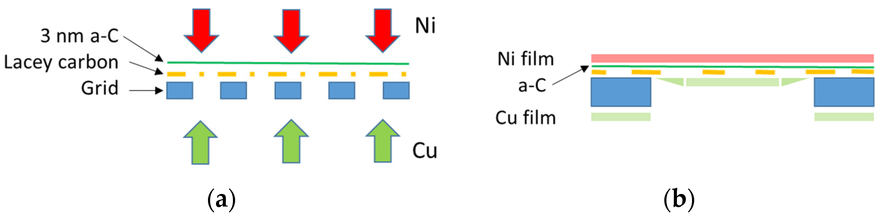 Nanomaterials 14 00444 g001