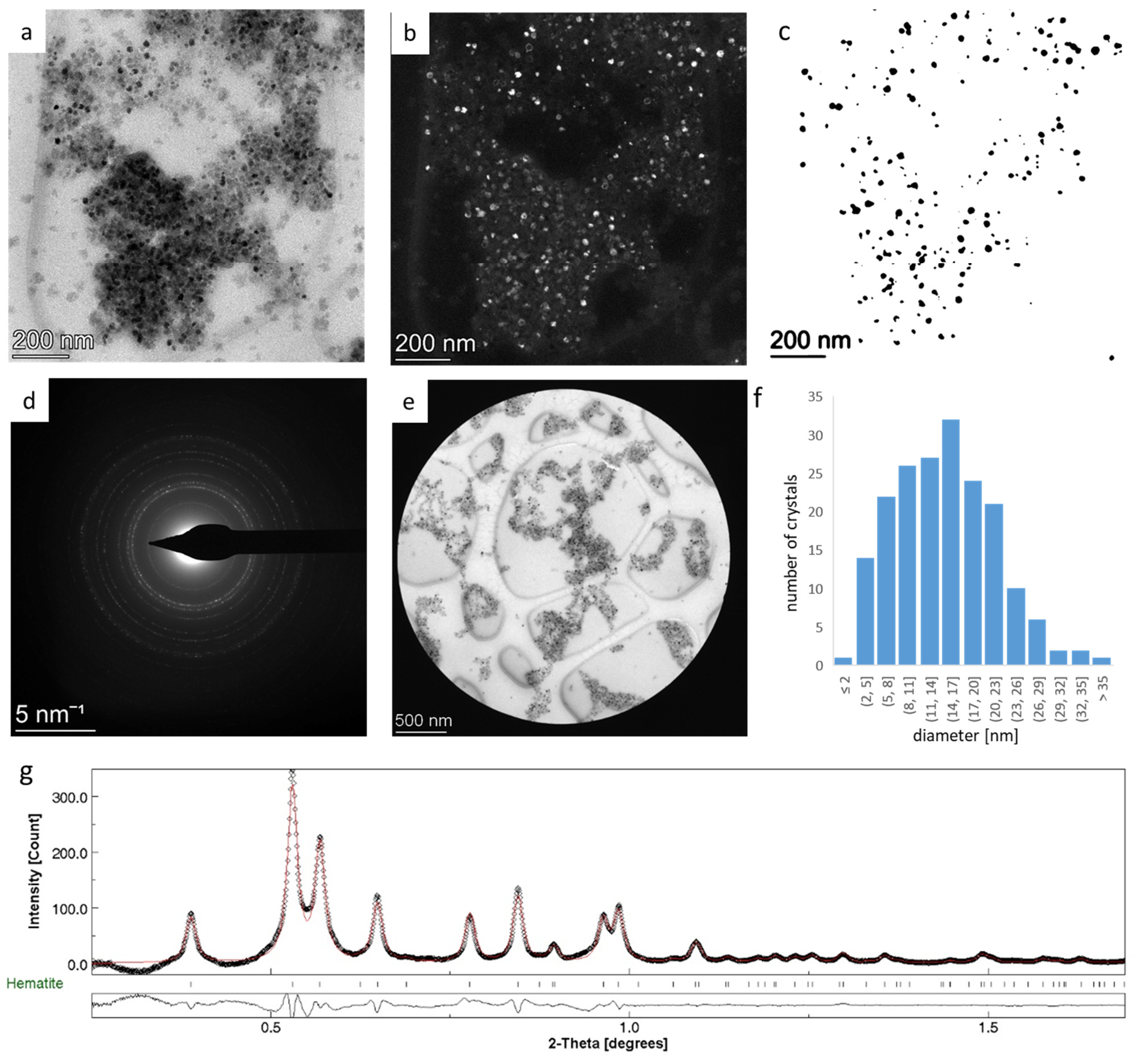 Nanomaterials 14 00444 g003