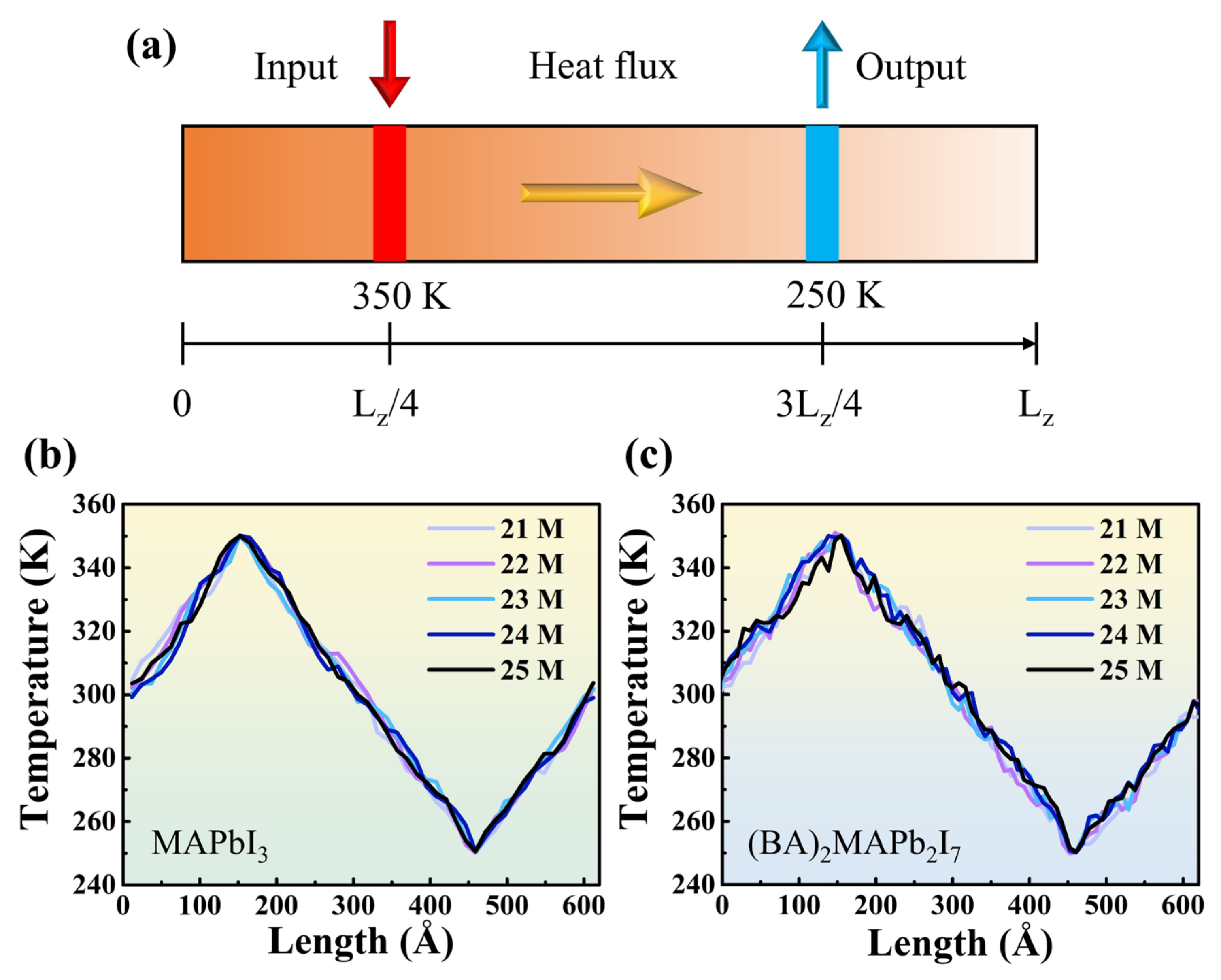 Nanomaterials 14 00446 g002