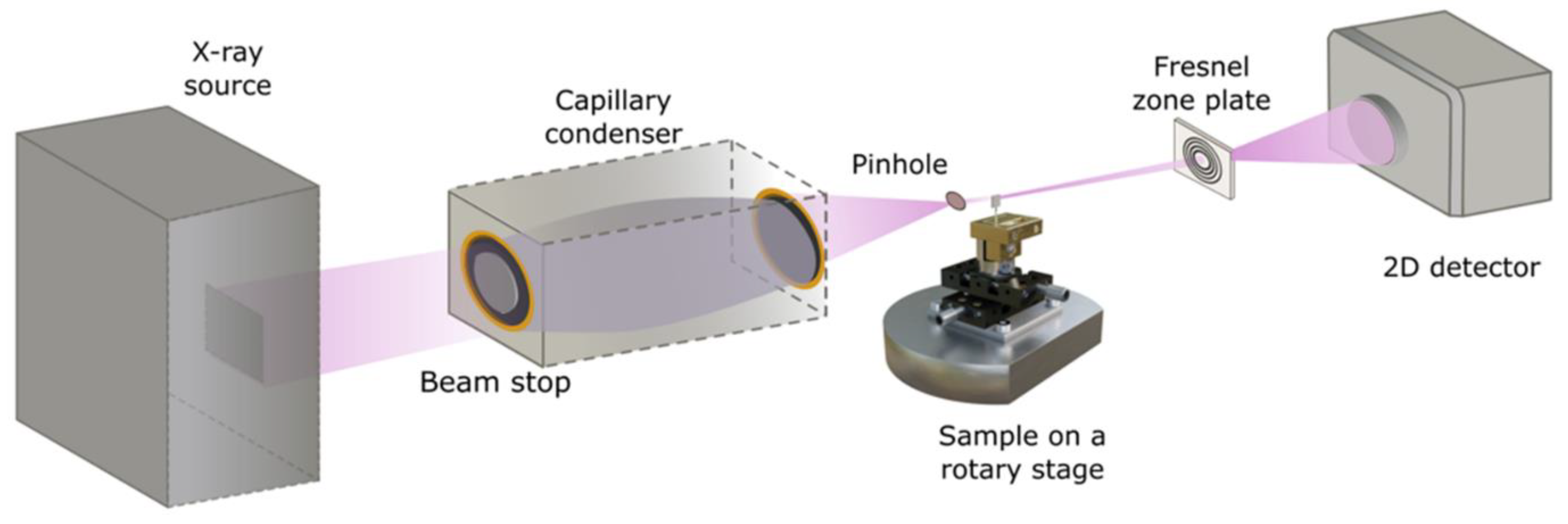 Nanomaterials 14 00448 g002 Nanomaterials 14 00448 g002