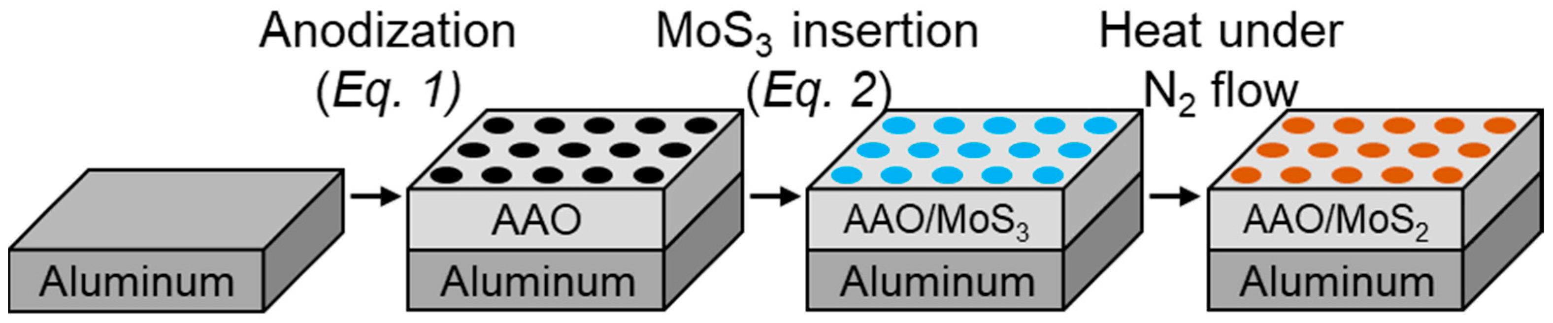 Nanomaterials 14 00451 g001