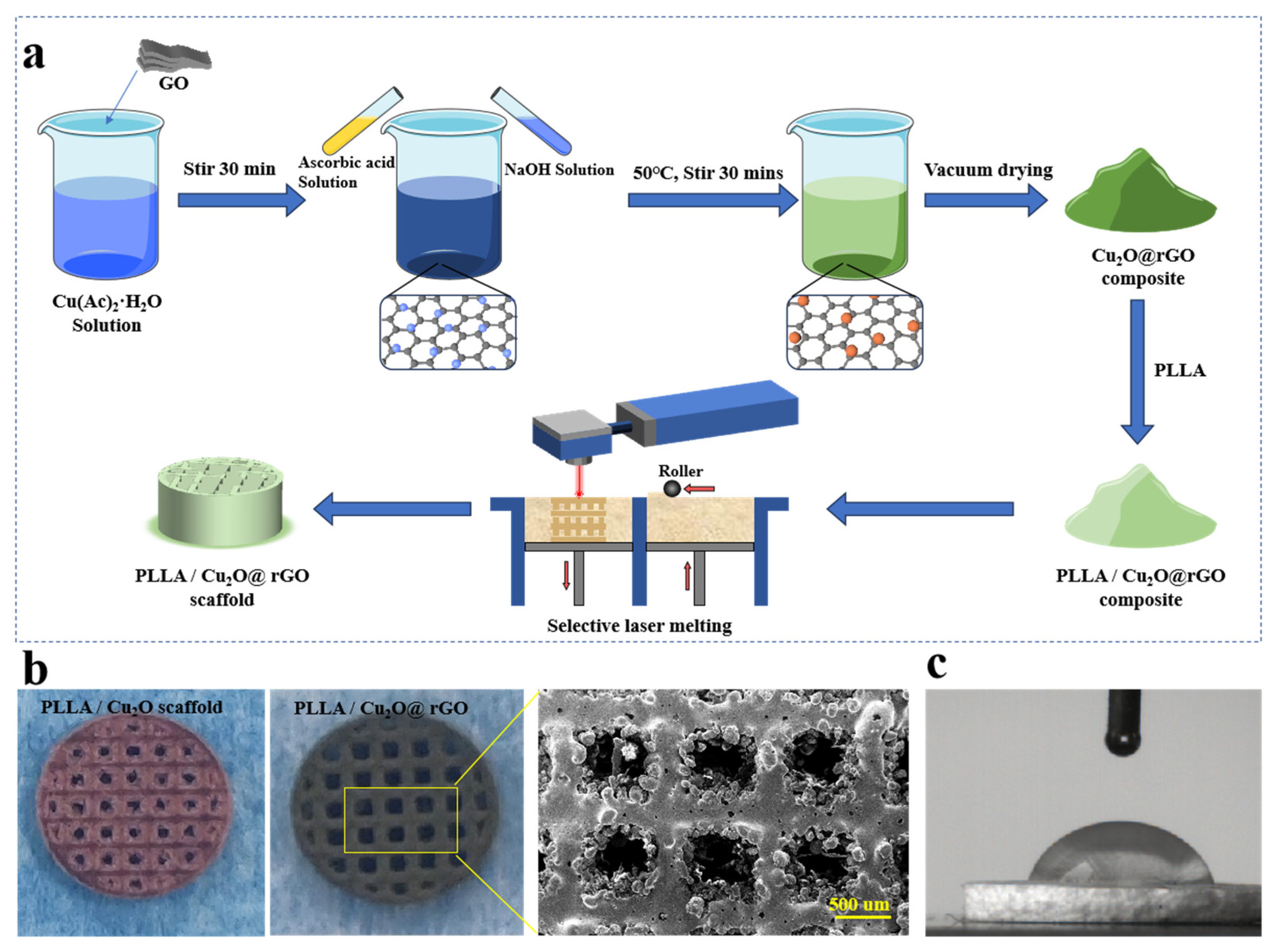 Nanomaterials 14 00452 g001