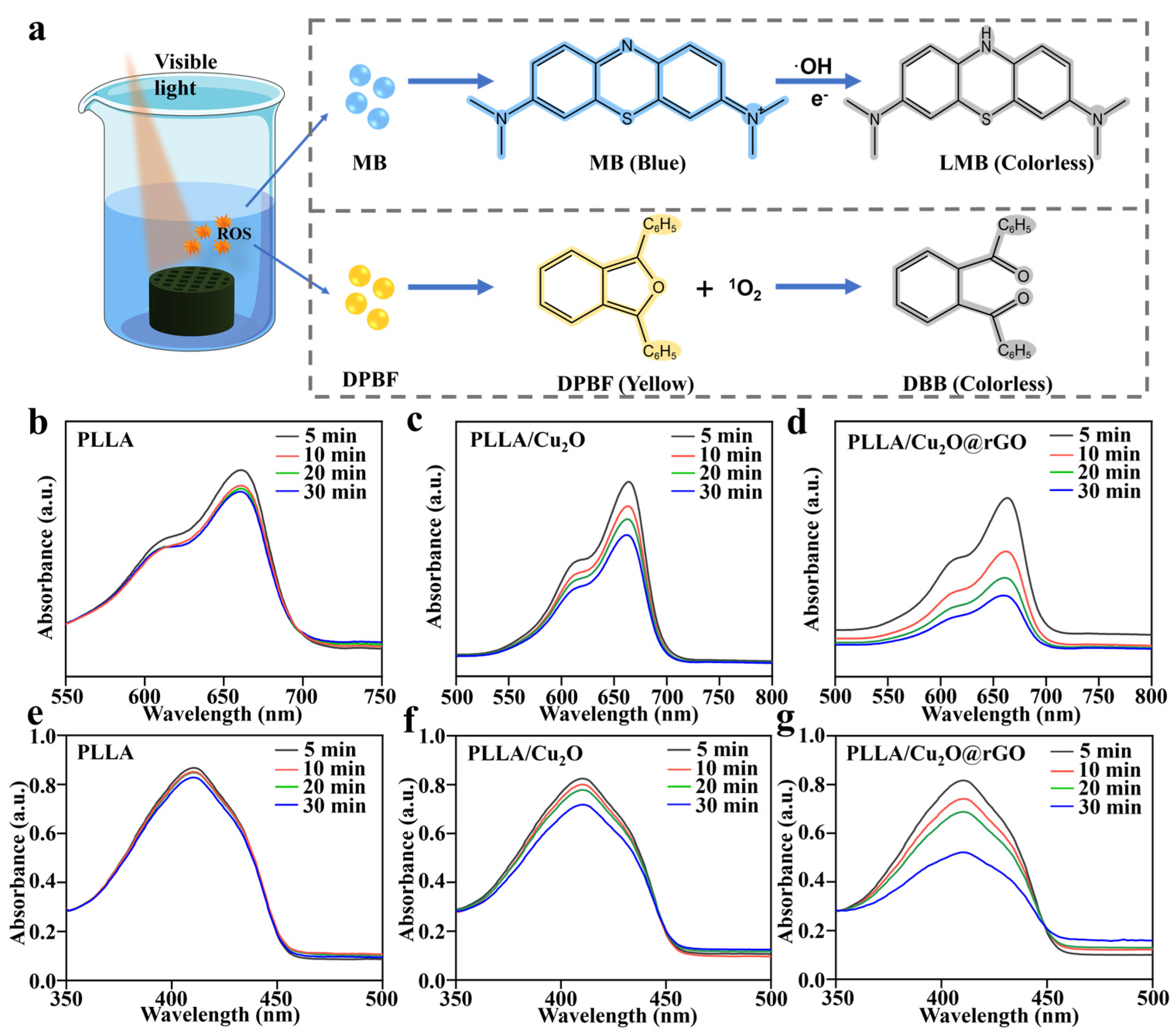 Nanomaterials 14 00452 g004