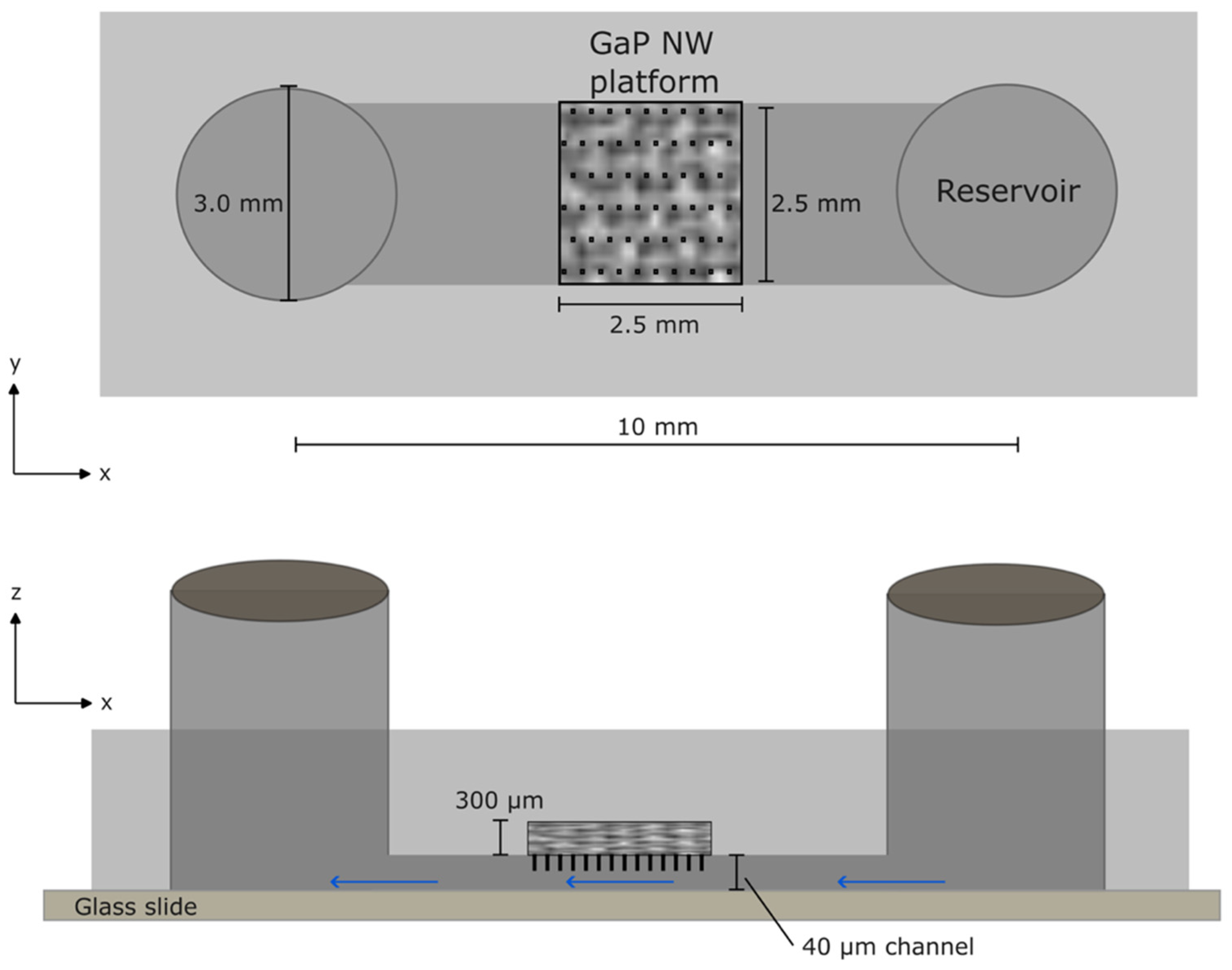 Nanomaterials 14 00453 g001