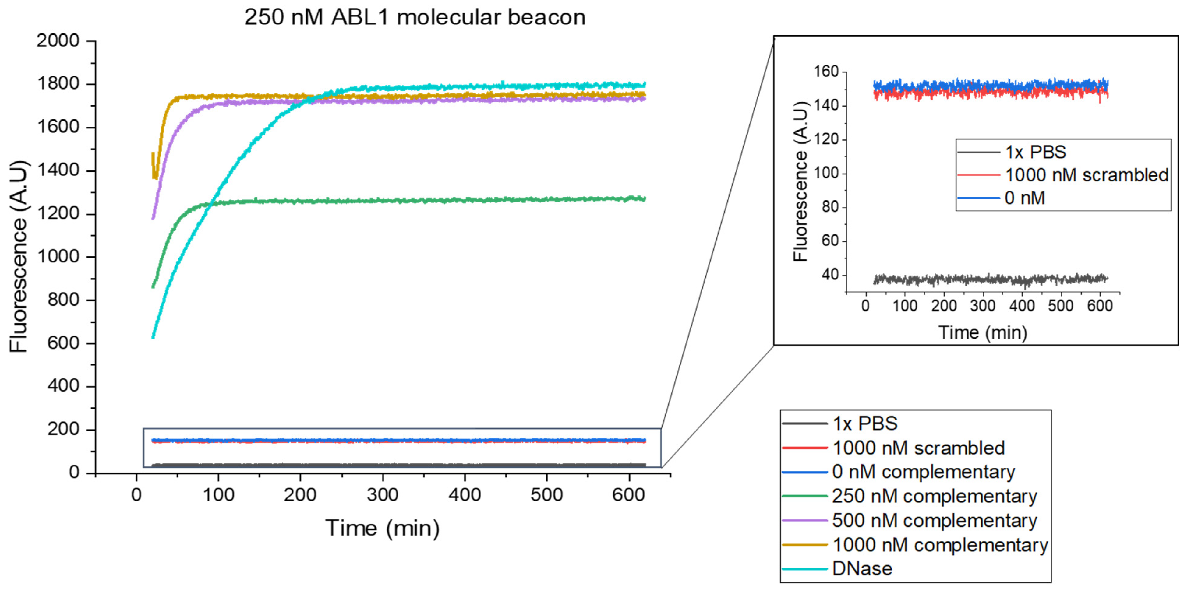 Nanomaterials 14 00453 g003